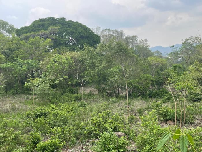 Terreno Residencial en venta en El Progreso, Guastatoya - foto 4