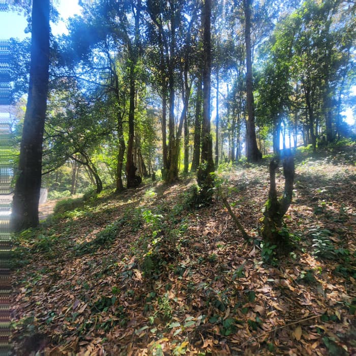 Terreno en venta en San Lucas Sacatepéquez - foto 4