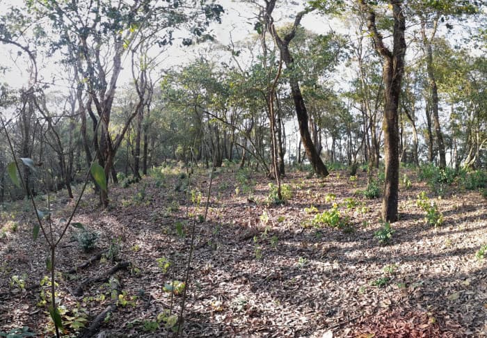 Terreno en Venta en El Encinal Zona 7 Mixco - foto 4