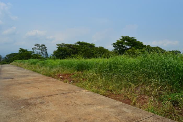 Terreno Industrial en venta Escuintla  - foto 4
