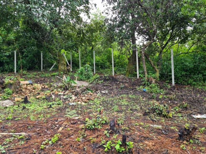 Terreno Residencial en Venta Km 34.5 Carr. a Chimal - foto 4