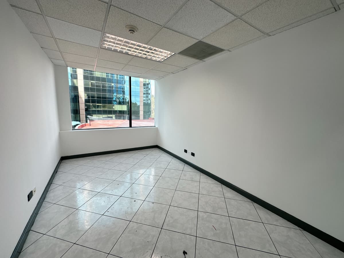 OFICINA EN RENTA Y VENTA EN 5 AVENIDA Z-14, EUROPLAZA - foto 3