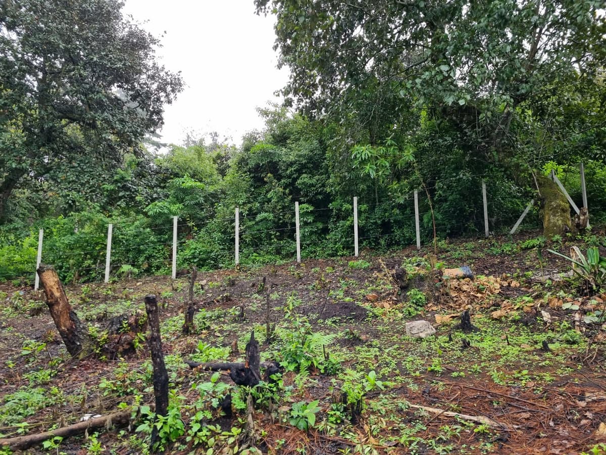 Terreno Residencial en Venta Km 34.5 Carr. a Chimal - foto 2