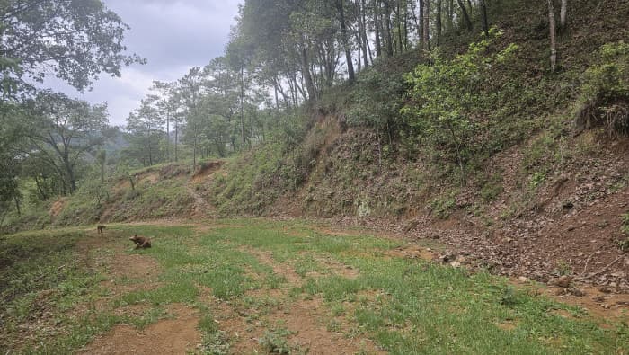 RENTO TERRENO 12 MANZ. ALDEA EL CHAN CHINAUTLA, GUATE. - foto 4