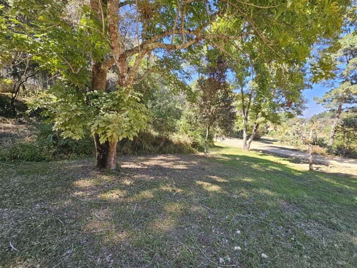 Vendo Terreno Carretera a San Raymundo - foto 4