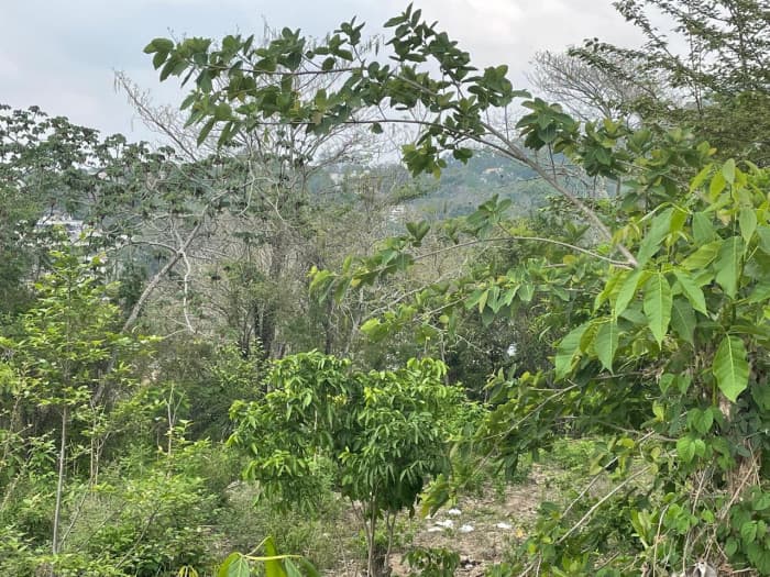 Terreno Residencial en venta en El Progreso, Guastatoya - foto 2