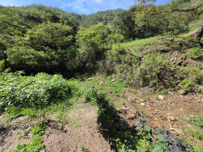 FINCA DE 43.7 MANZANAS EN VENTA EN HUEHUETENANGO - foto 2