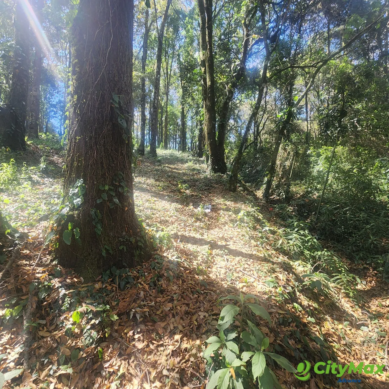 En Venta Terreno en Bosque Vivo  - foto 1