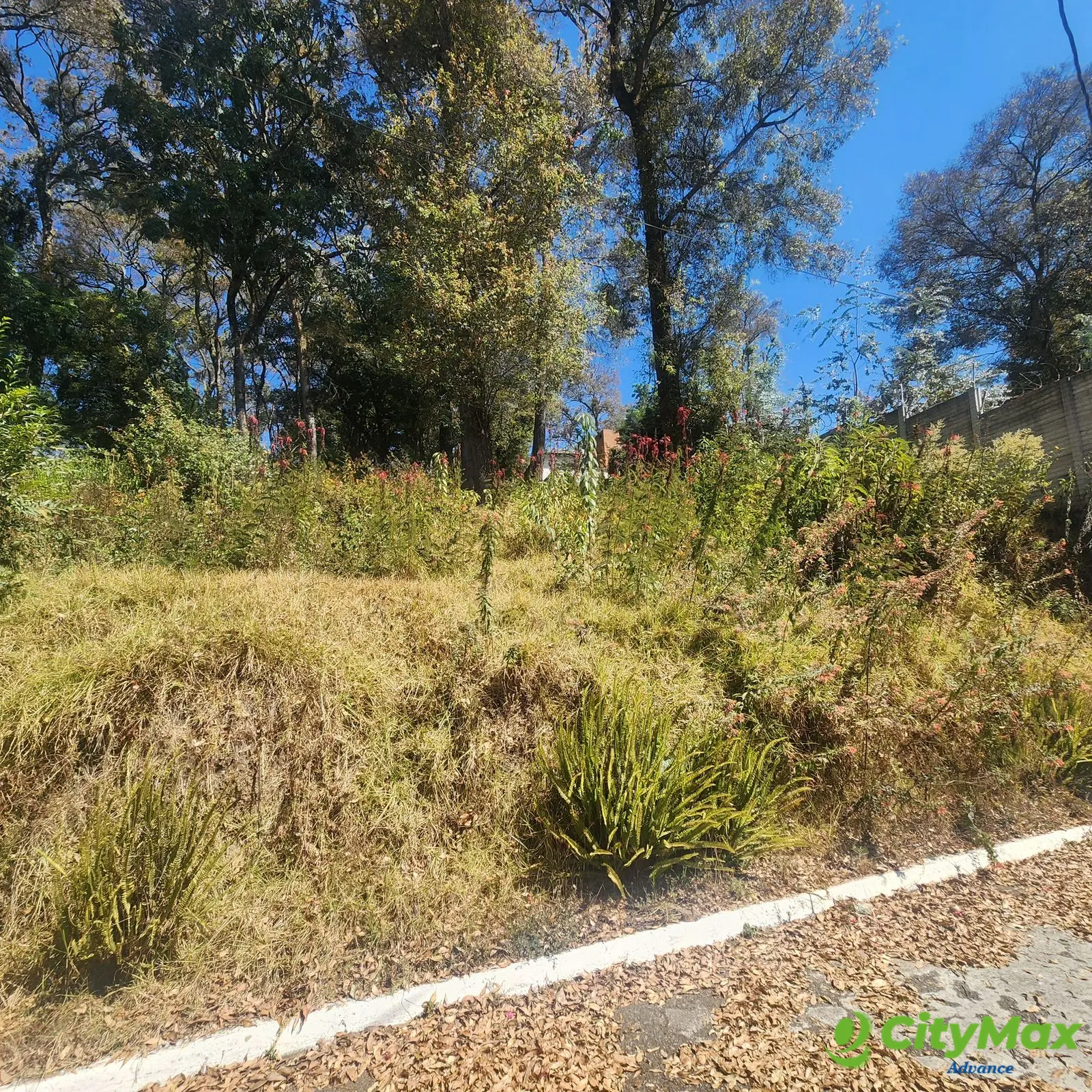 Vendo Terreno dentro de Residencial en Bosque Vivo - foto 1