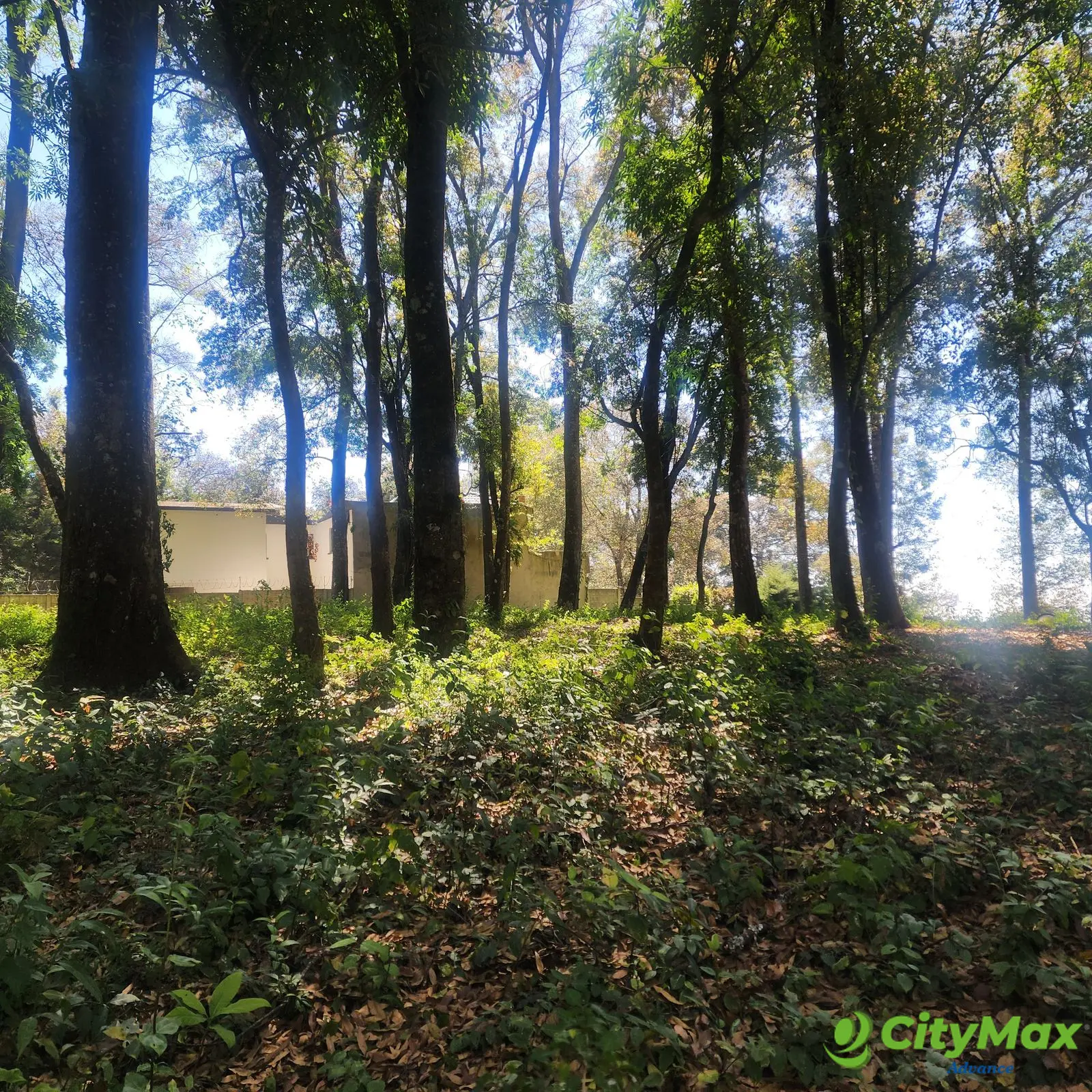 Terreno en Venta en Mixco, Bosque Vivo - foto 1