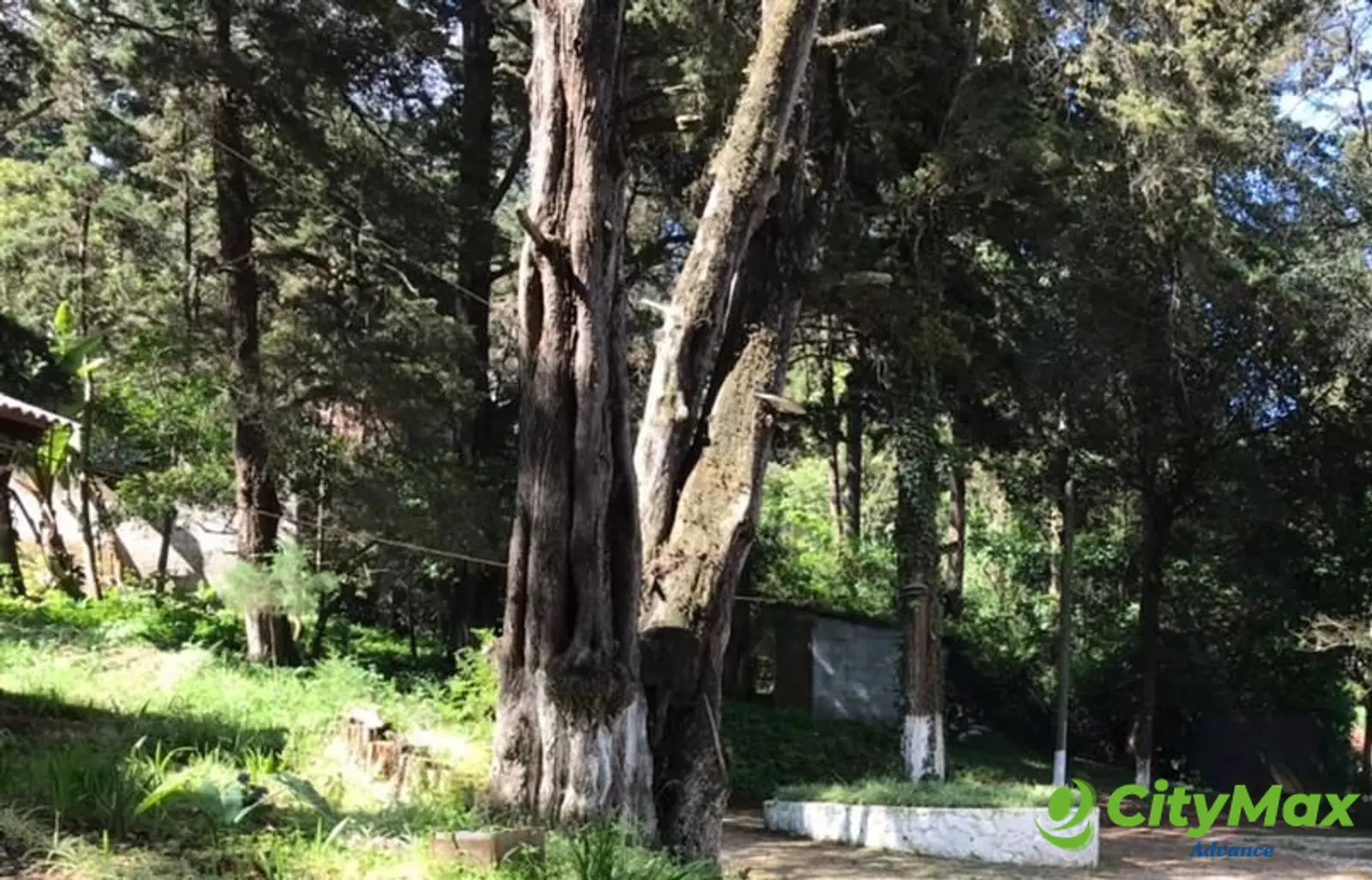 TERRENO EN VENTA EN SANTA LUCIA MILPAS ALTAS - foto 1