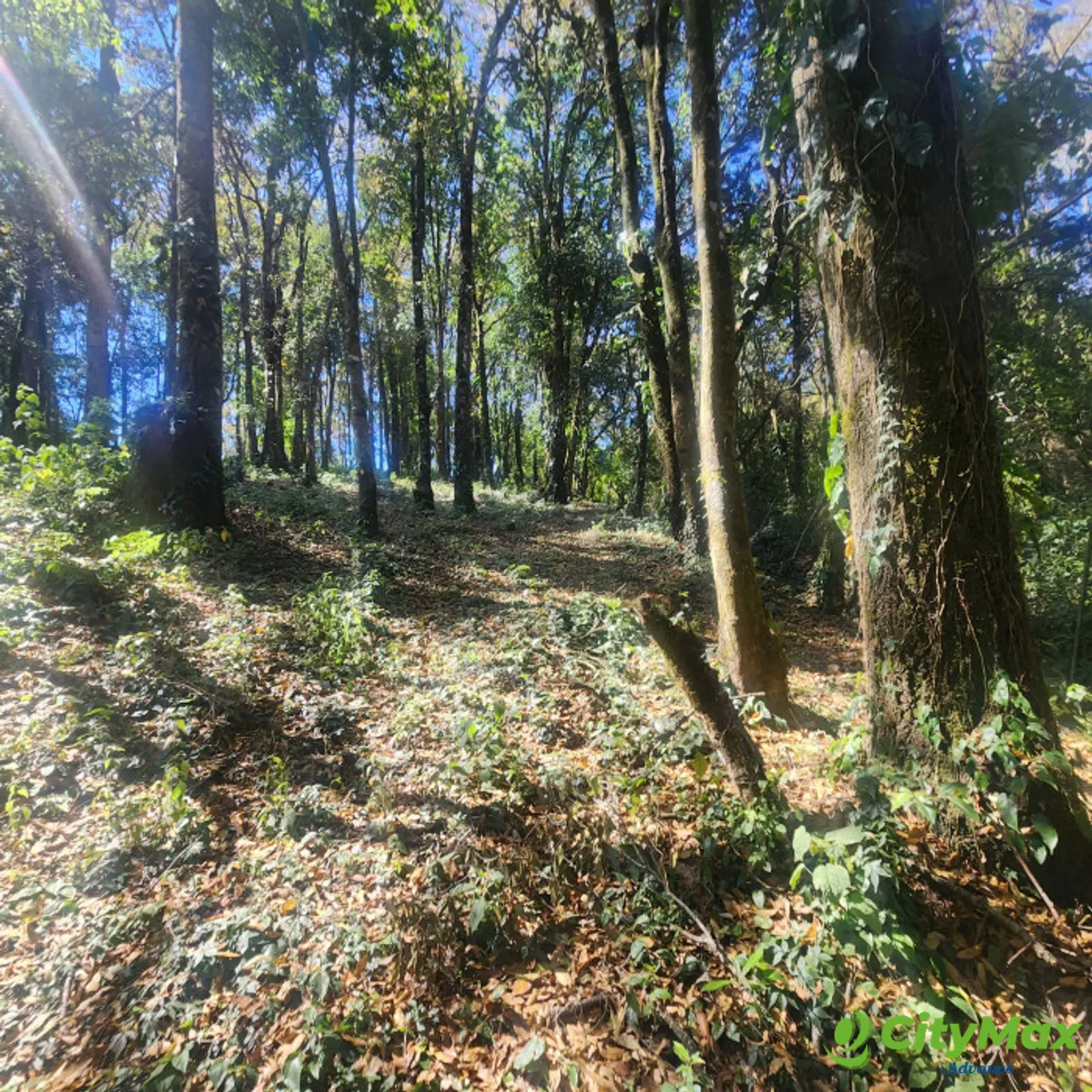 Terreno en venta en San Lucas Sacatepéquez - foto 1