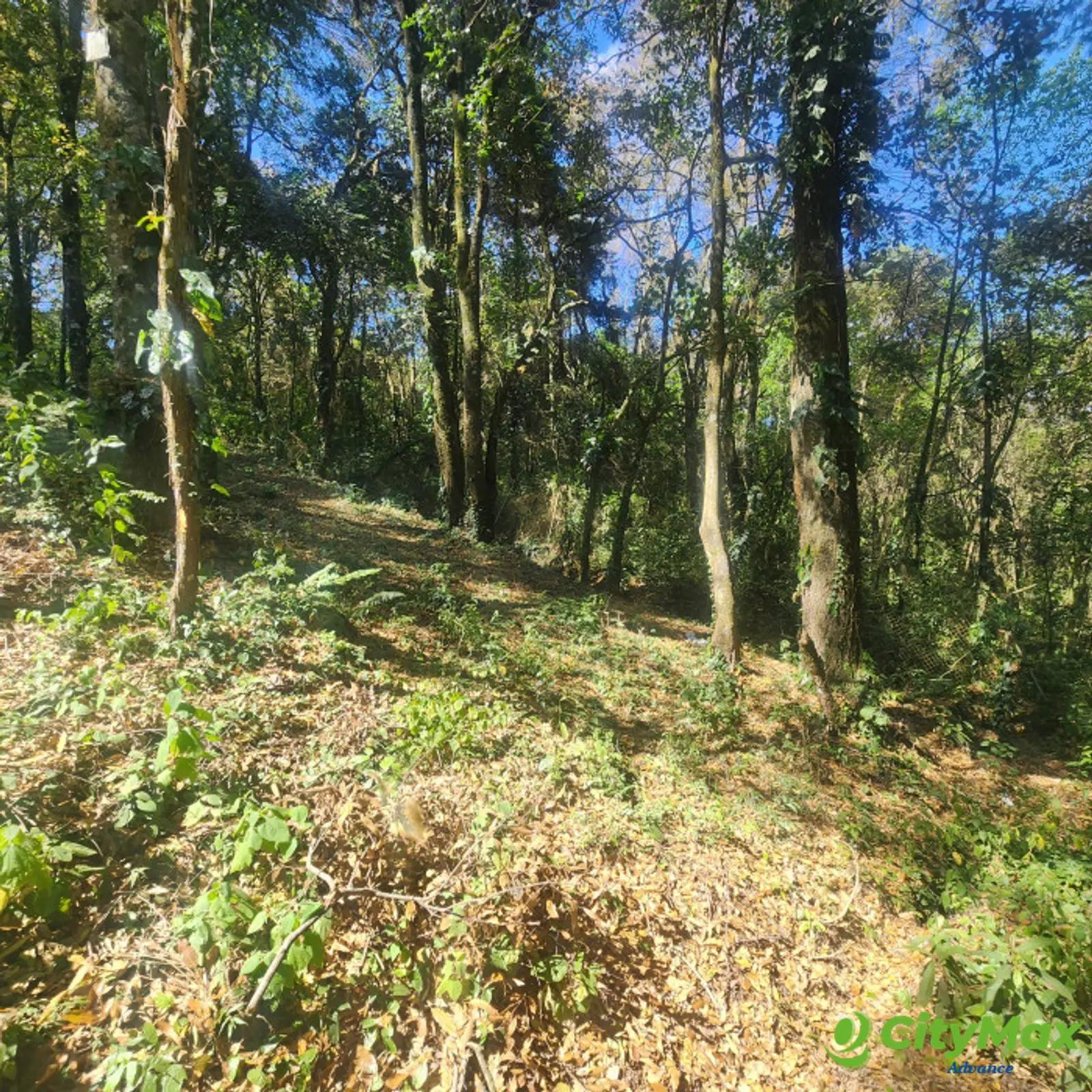 En Venta Terreno en Bosque Vivo  - foto 2