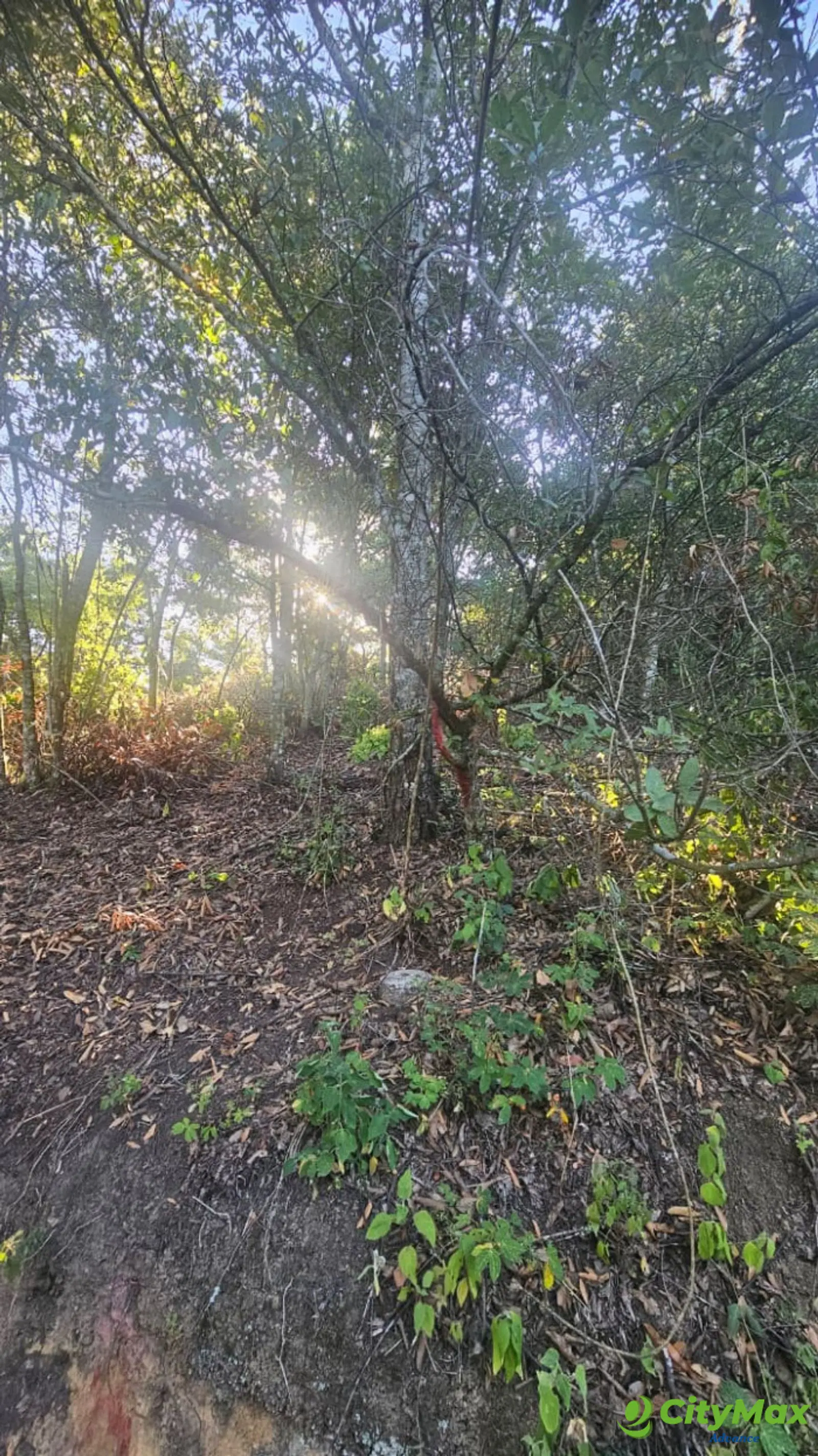 Terreno Residencial en Venta Granjas Pinares del Tejar - foto 11