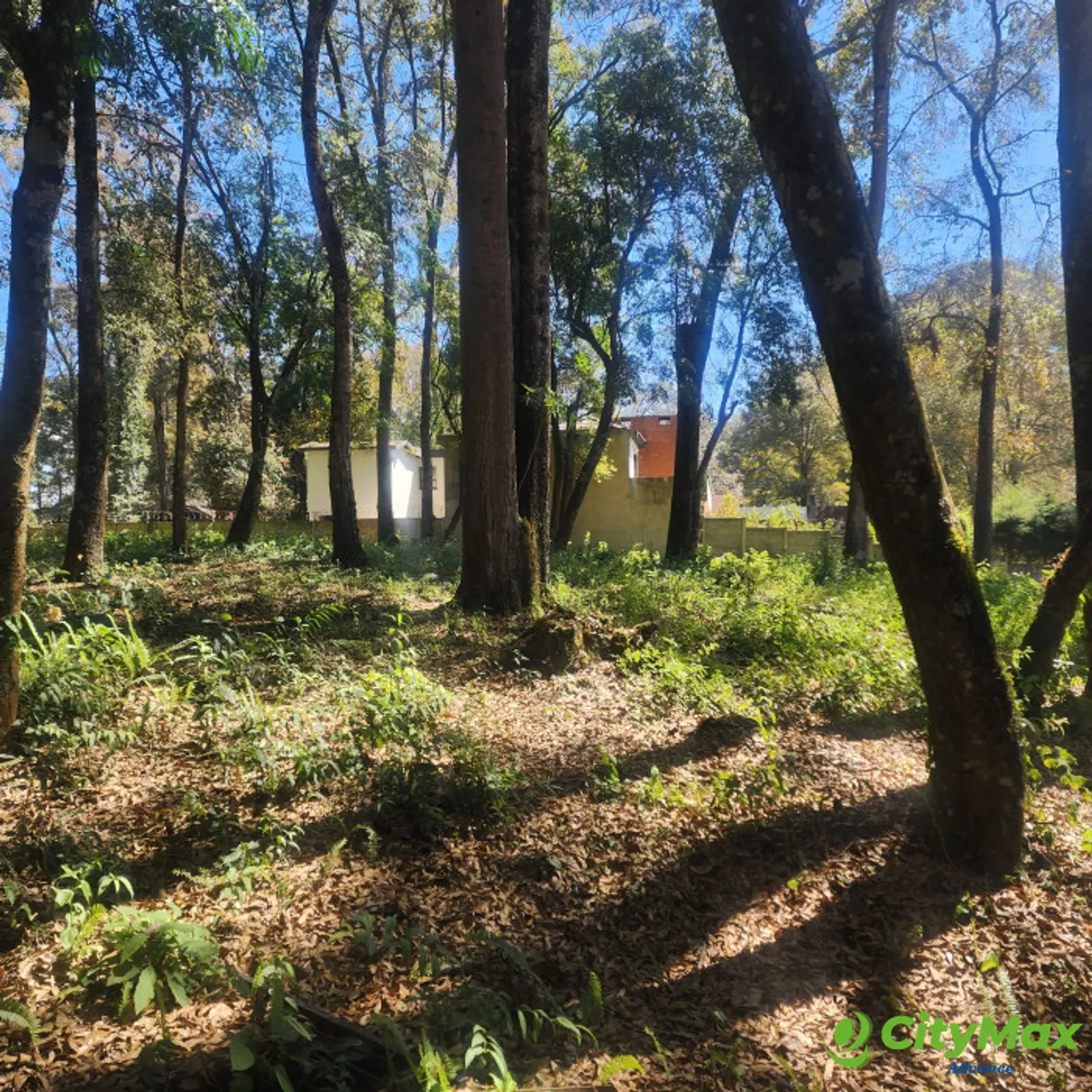Vendo Terreno dentro de Residencial en Bosque Vivo - foto 4