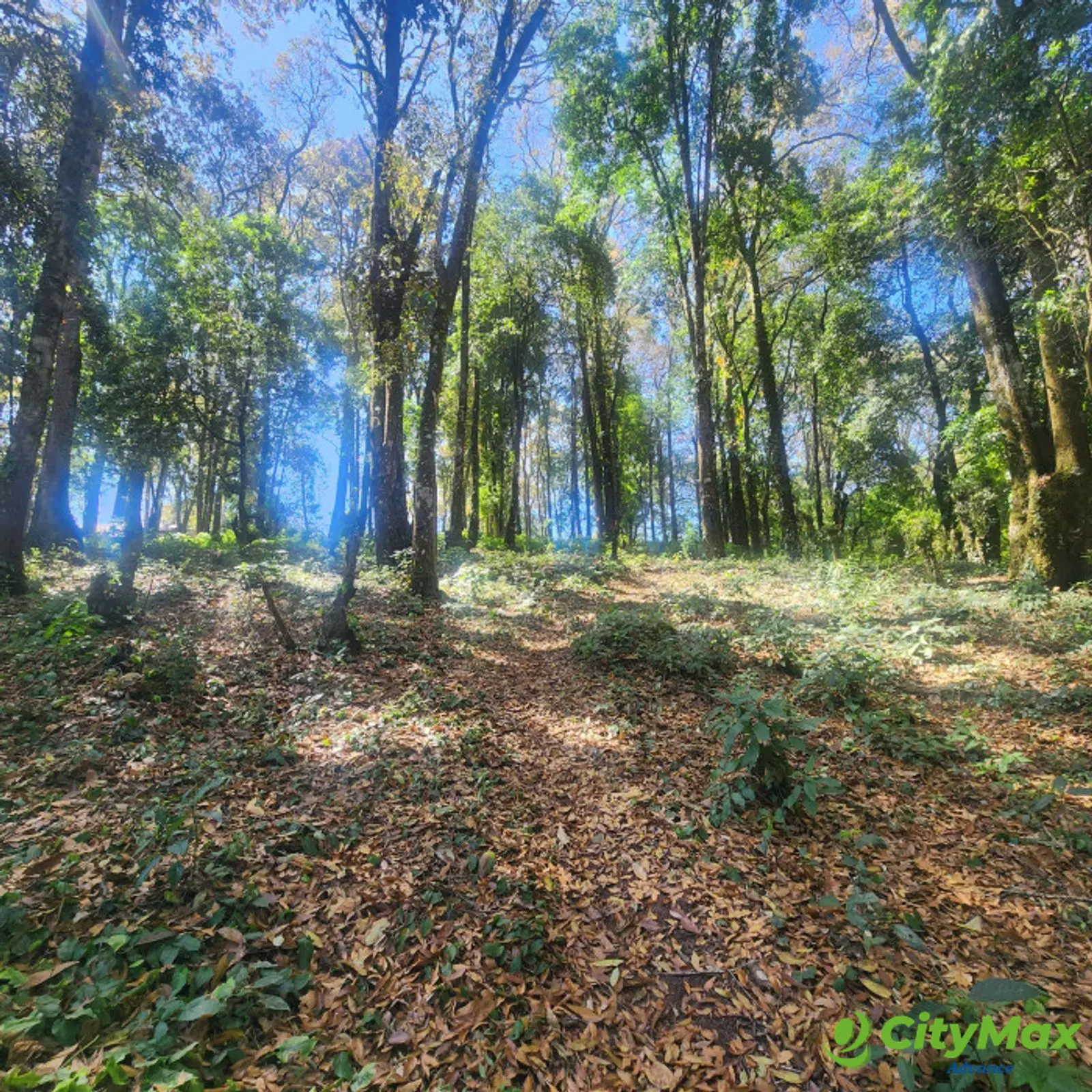 Terreno en venta en San Lucas Sacatepéquez - foto 7