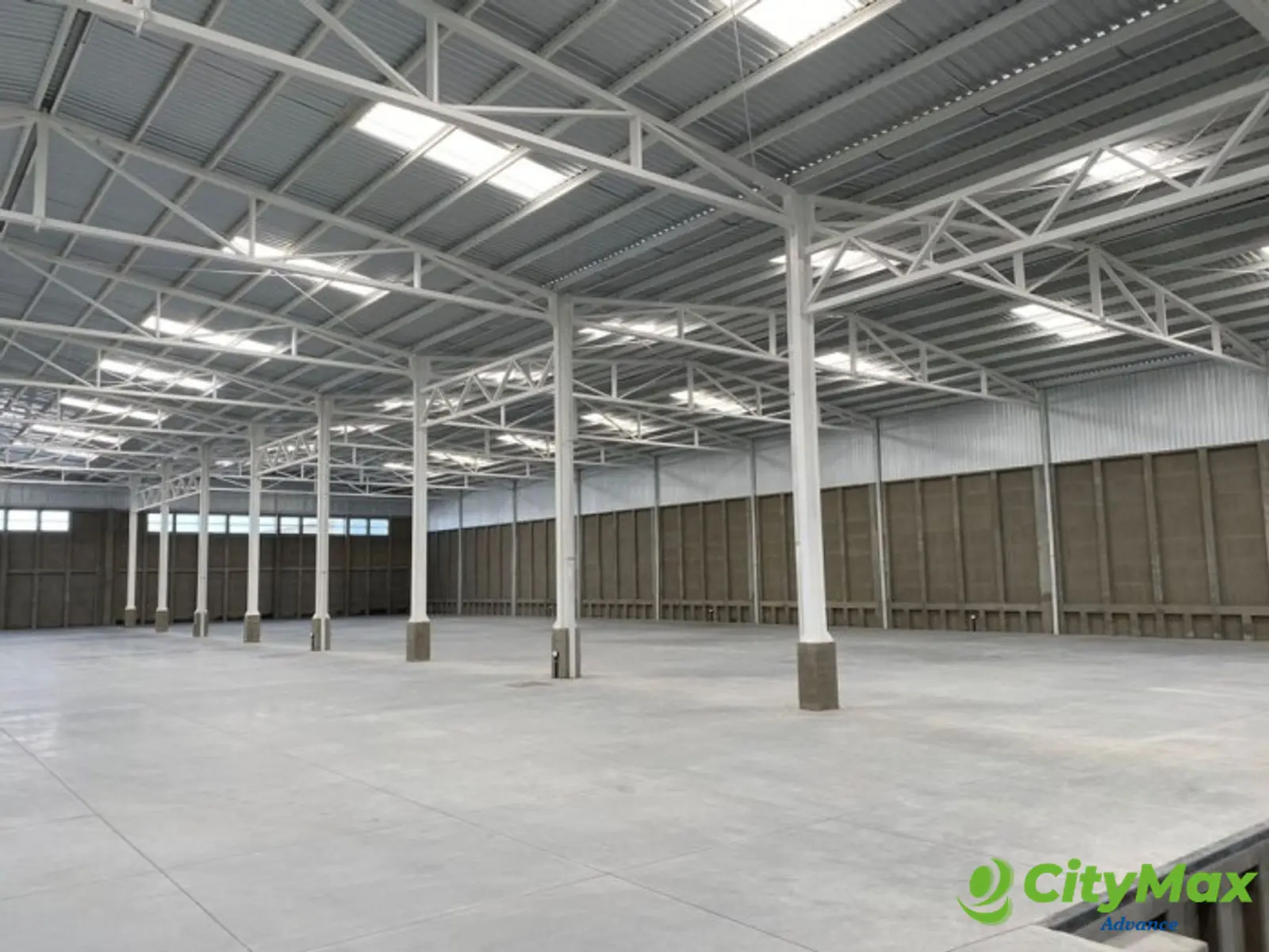 NAVE INDUSTRIAL EN RENTA EN MICHATOYA PALIN - foto 4