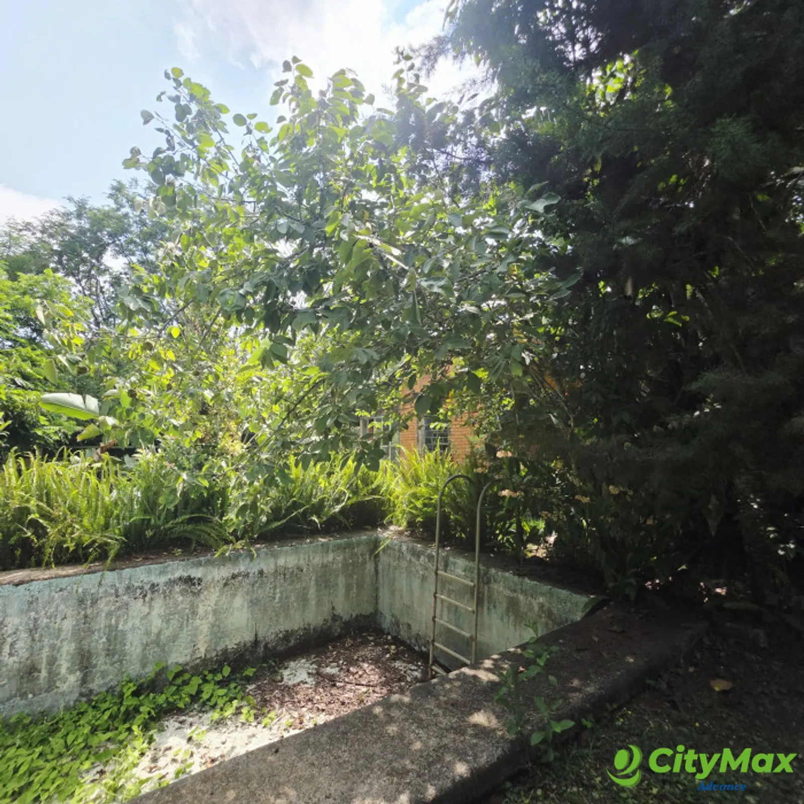 Vendo Casa para glamping/restaurante Sta Elena Barilla - foto 11