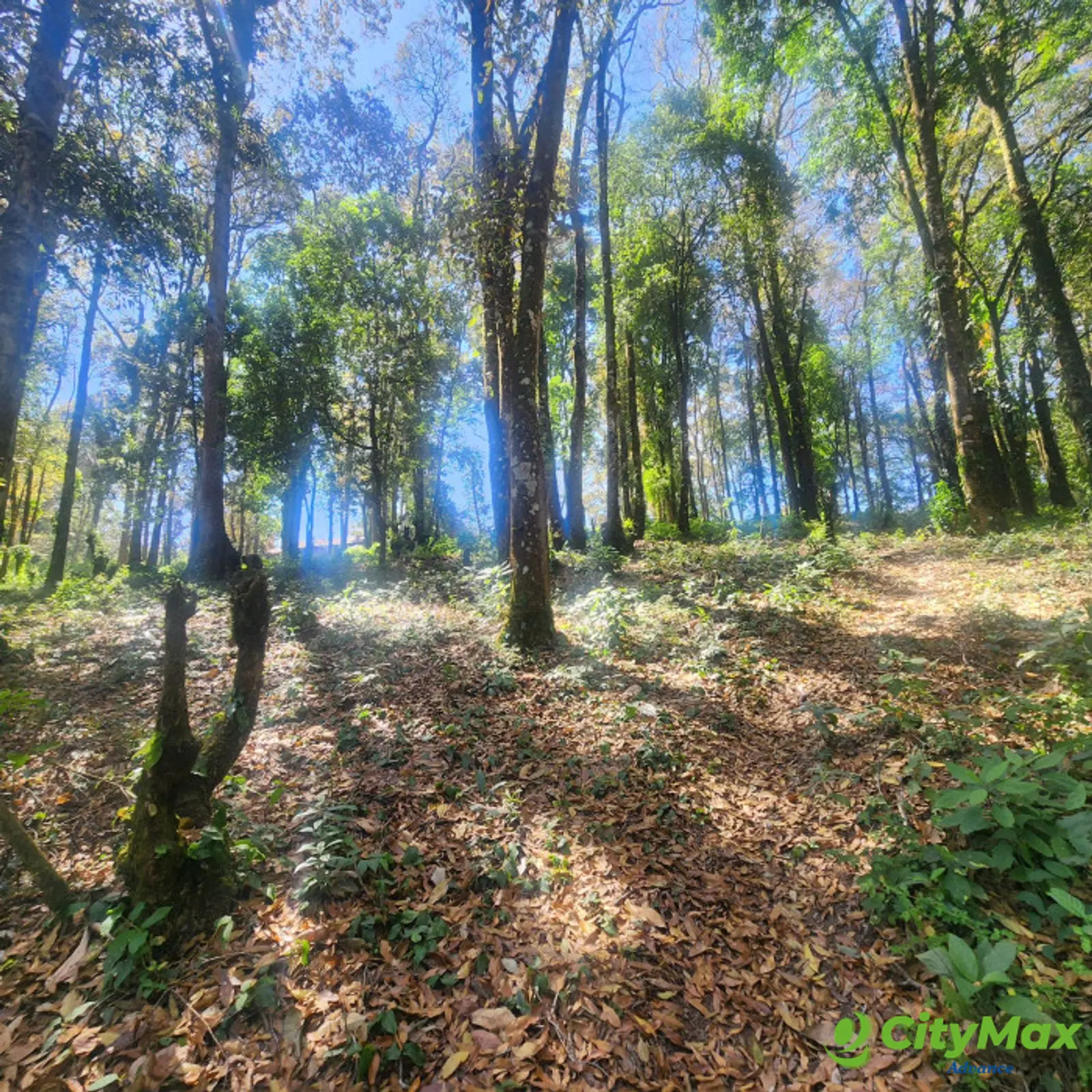 Terreno en venta en San Lucas Sacatepéquez - foto 5