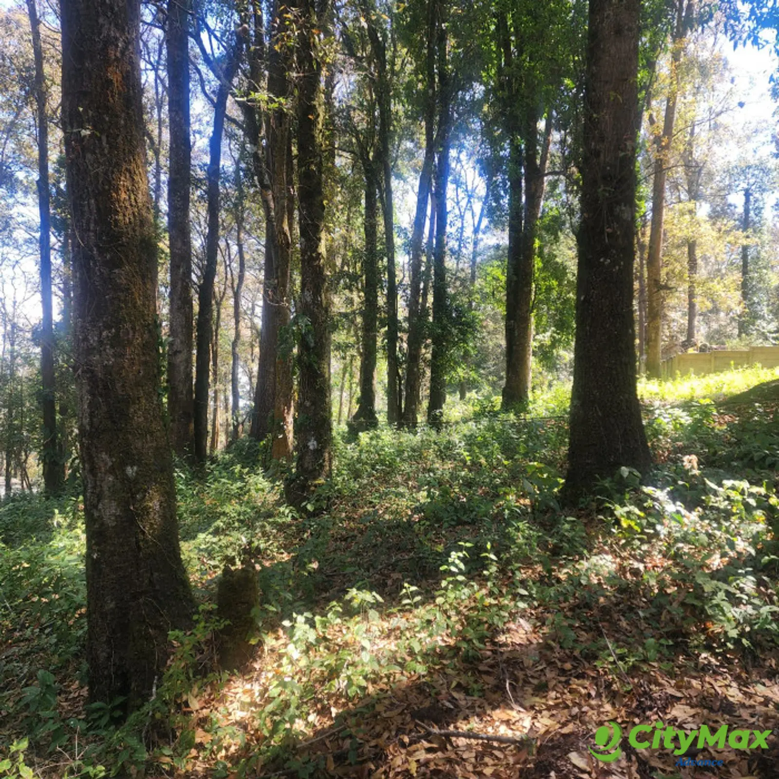 Terreno en Venta en Mixco, Bosque Vivo - foto 4