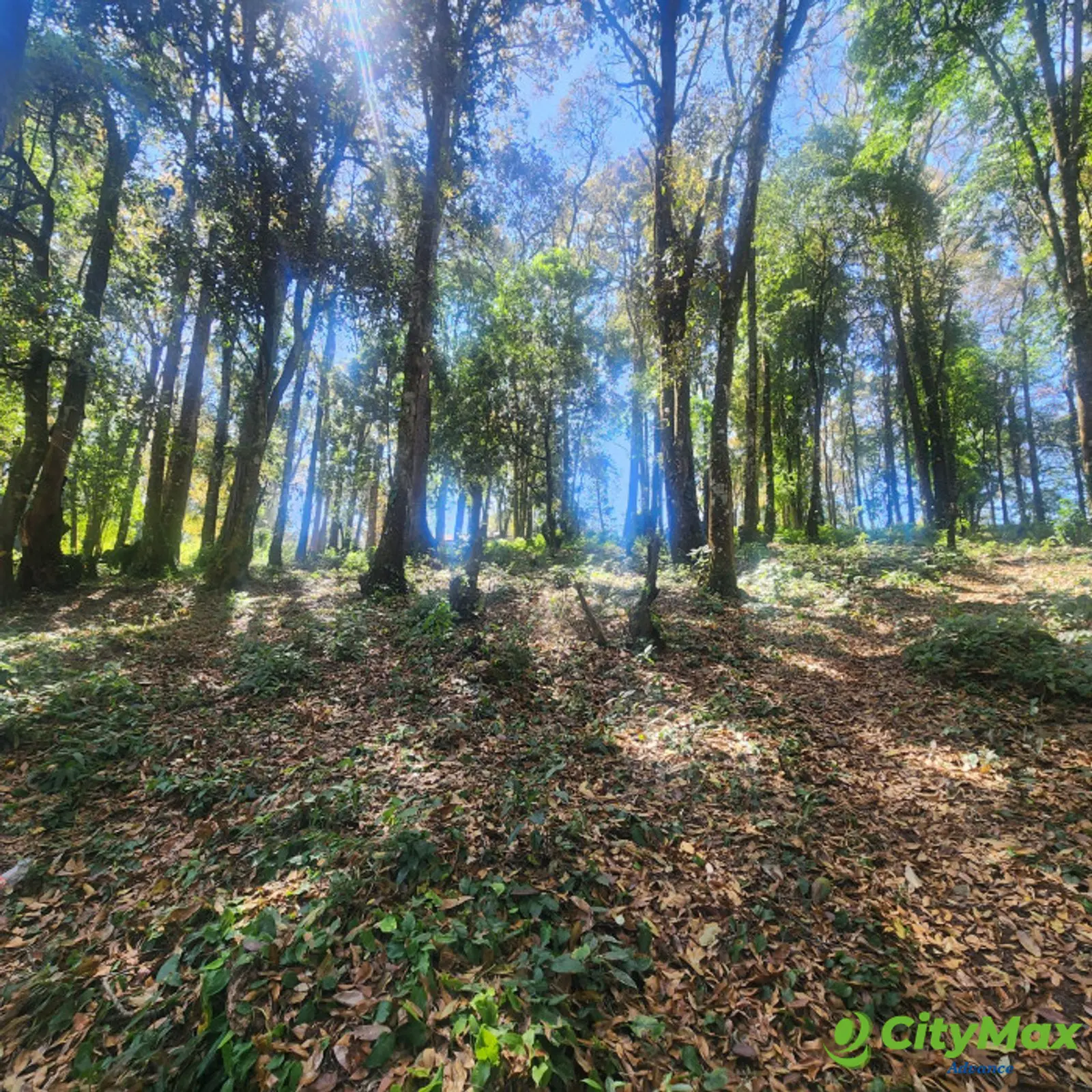 En Venta Terreno en Bosque Vivo  - foto 6