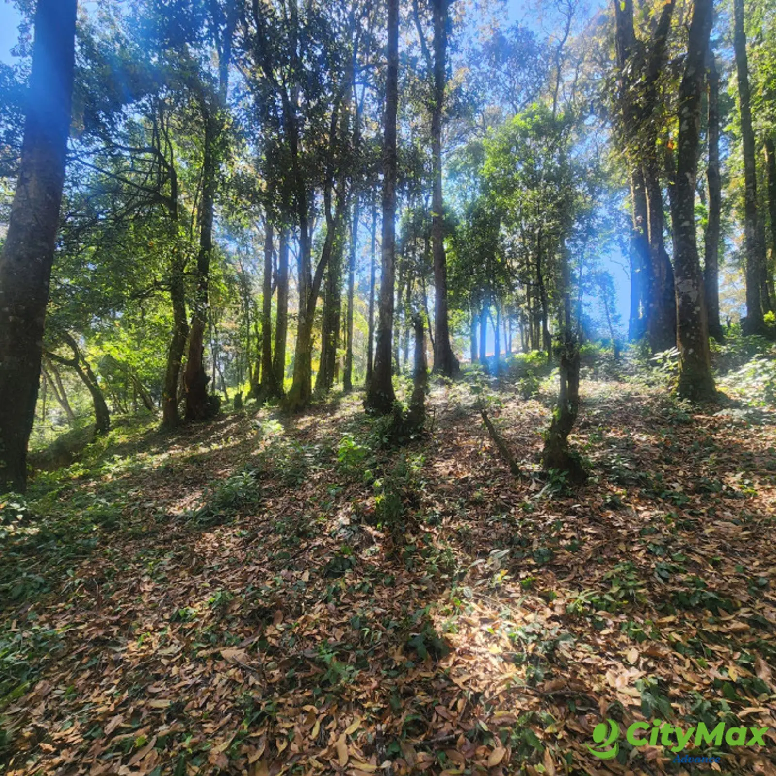 Terreno en venta en San Lucas Sacatepéquez - foto 3