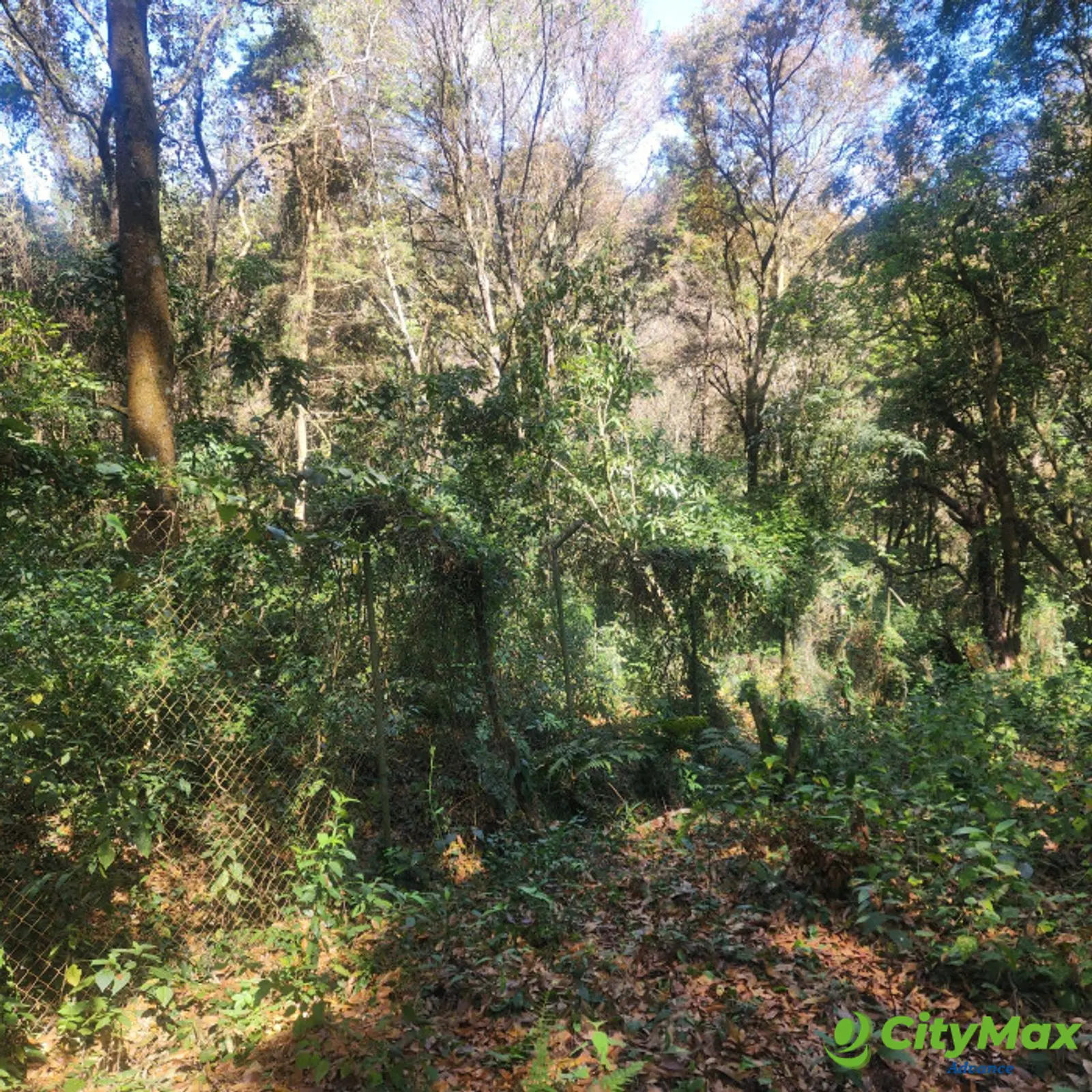 Terreno en Venta en Mixco, Bosque Vivo - foto 5