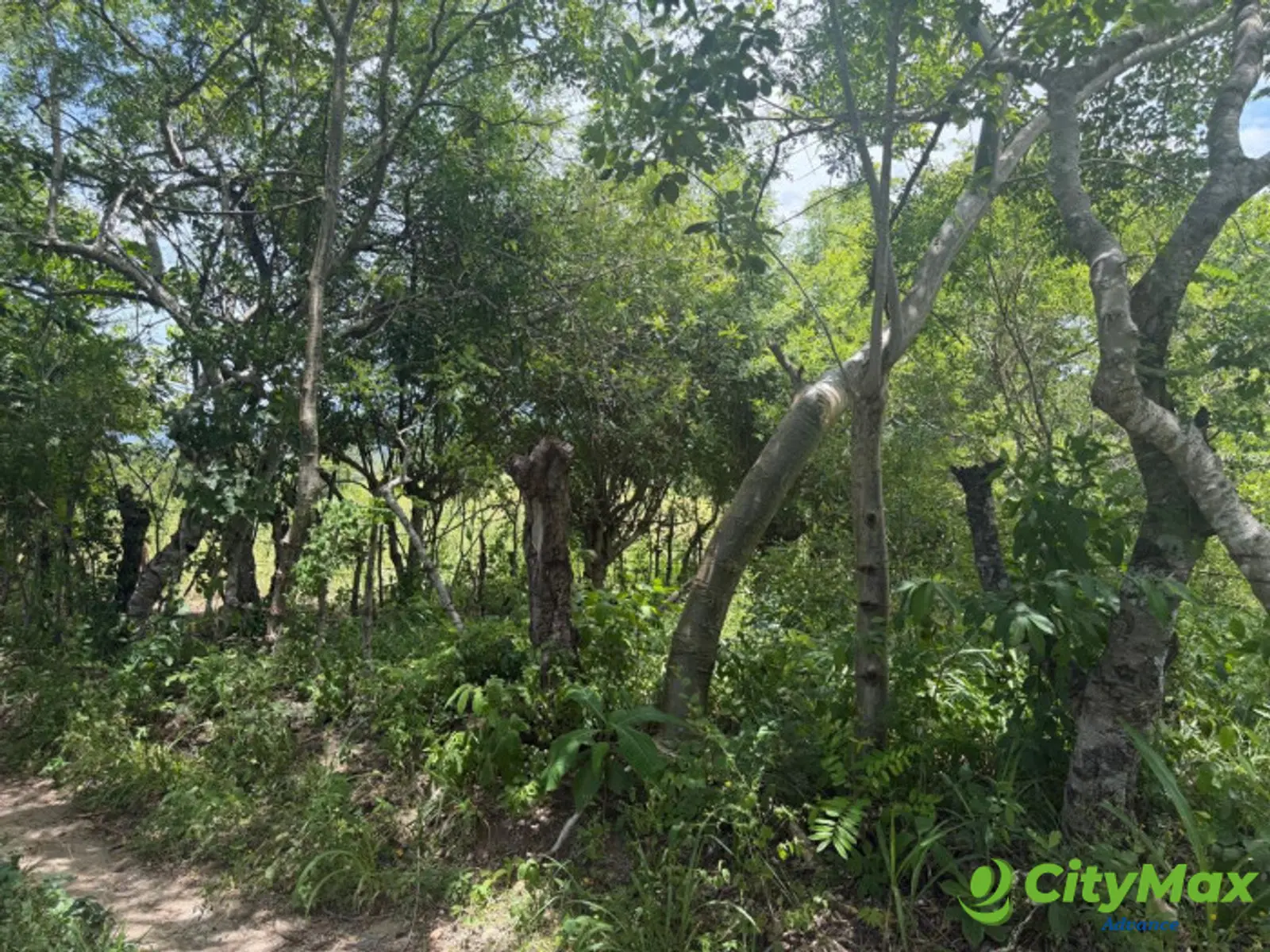 VENTA DE FINCA EN ORATORIO SANTA ROSA - foto 4