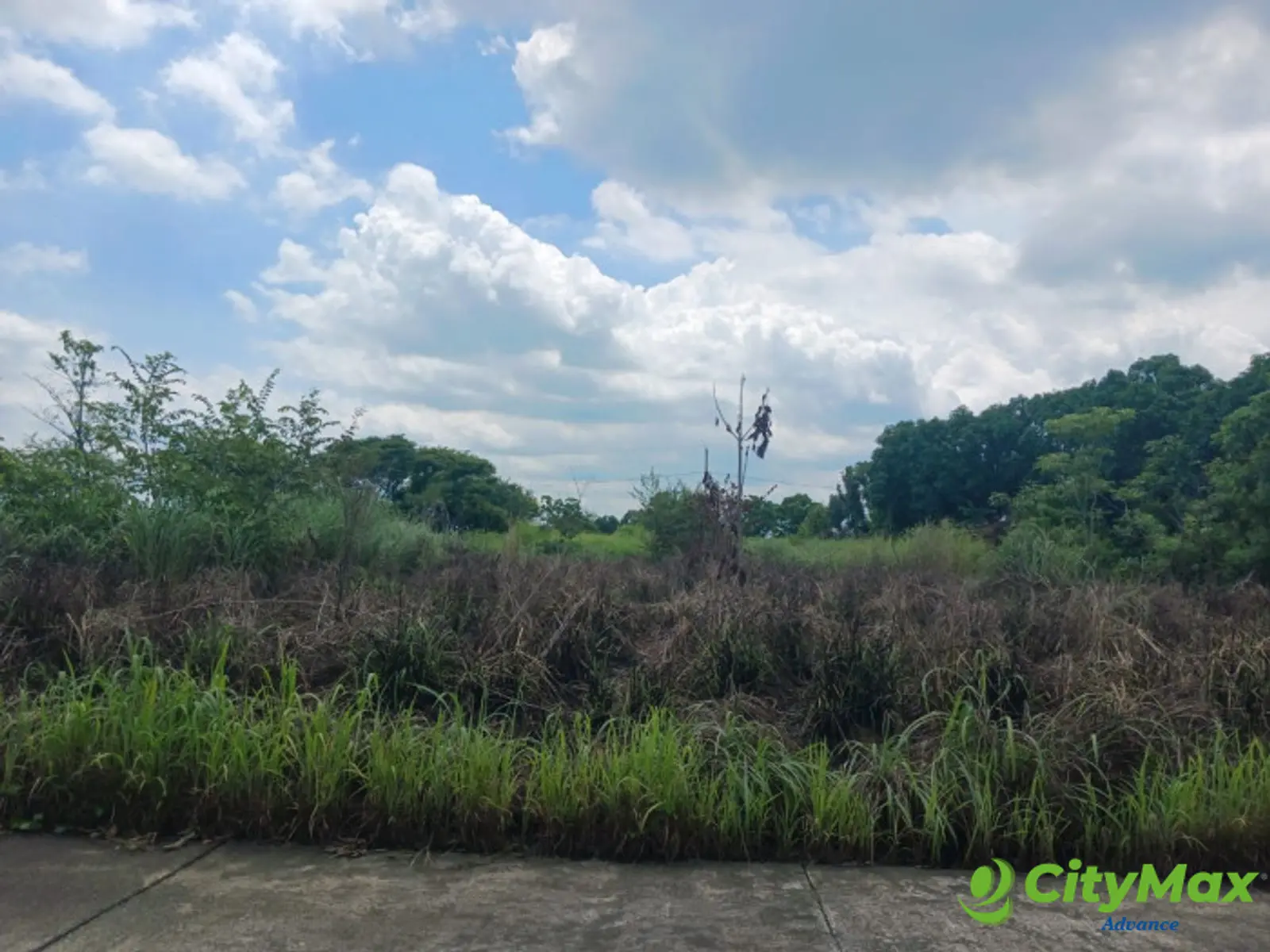 Terreno Vacacional en venta en Quinta la Ponderosa - foto 2