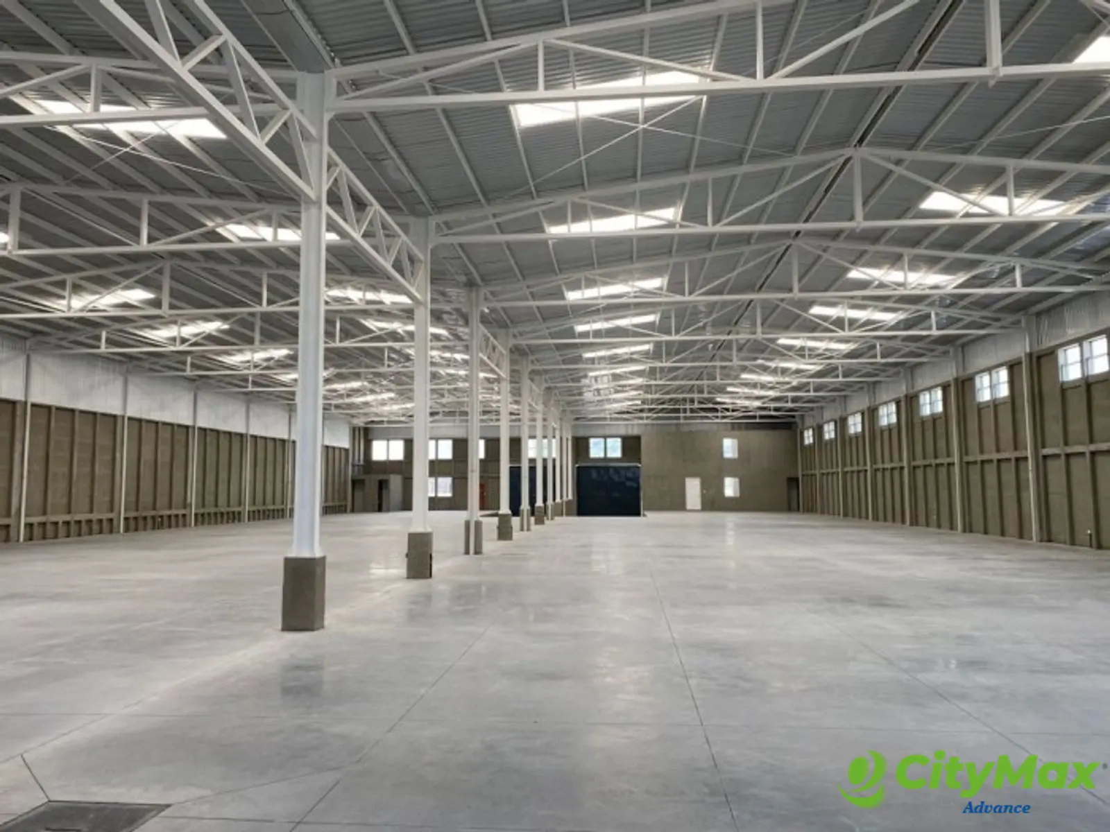 NAVE INDUSTRIAL EN RENTA EN MICHATOYA PALIN - foto 6