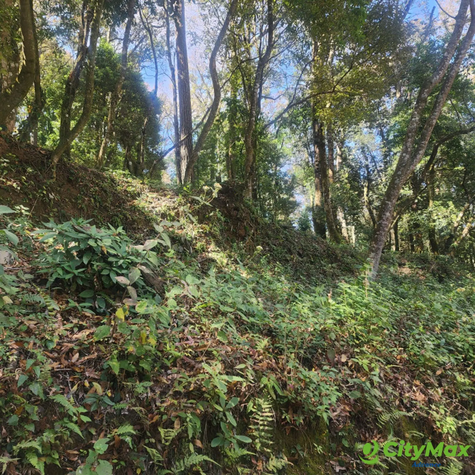 Terreno en venta en San Lucas Sacatepéquez - foto 6