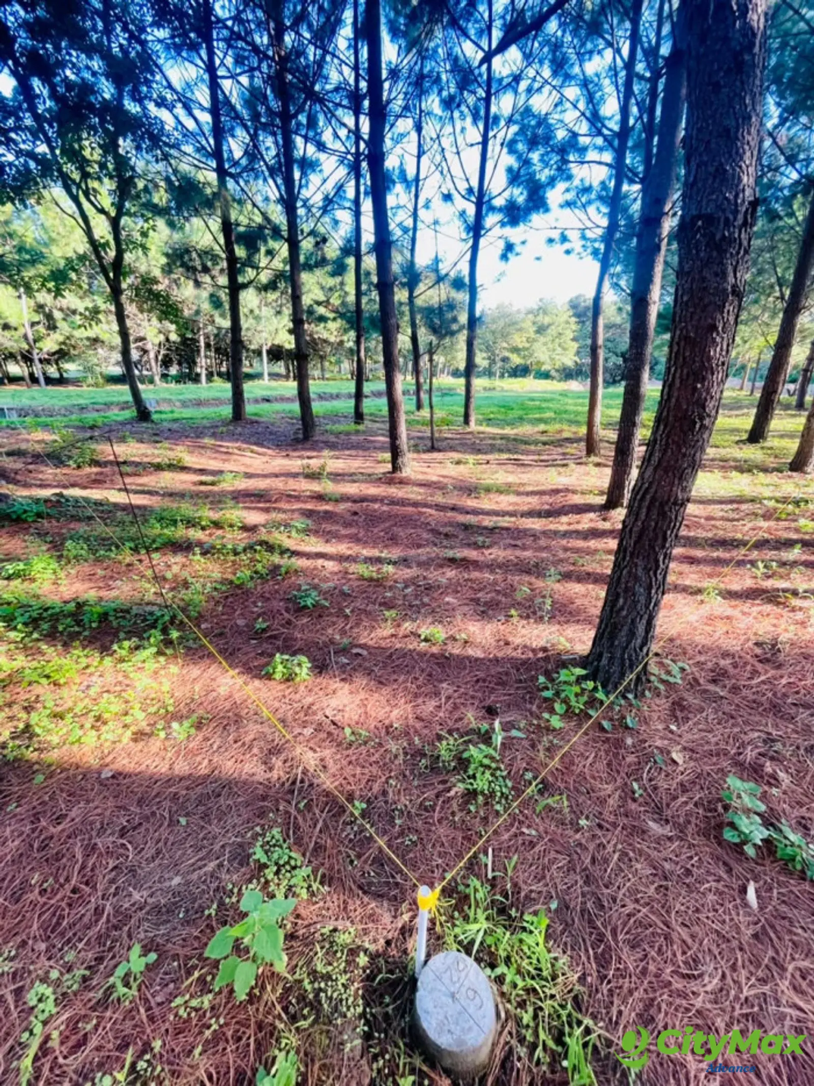 Vendo Terreno Residencial en San Pedro Sacatepéquez - foto 4