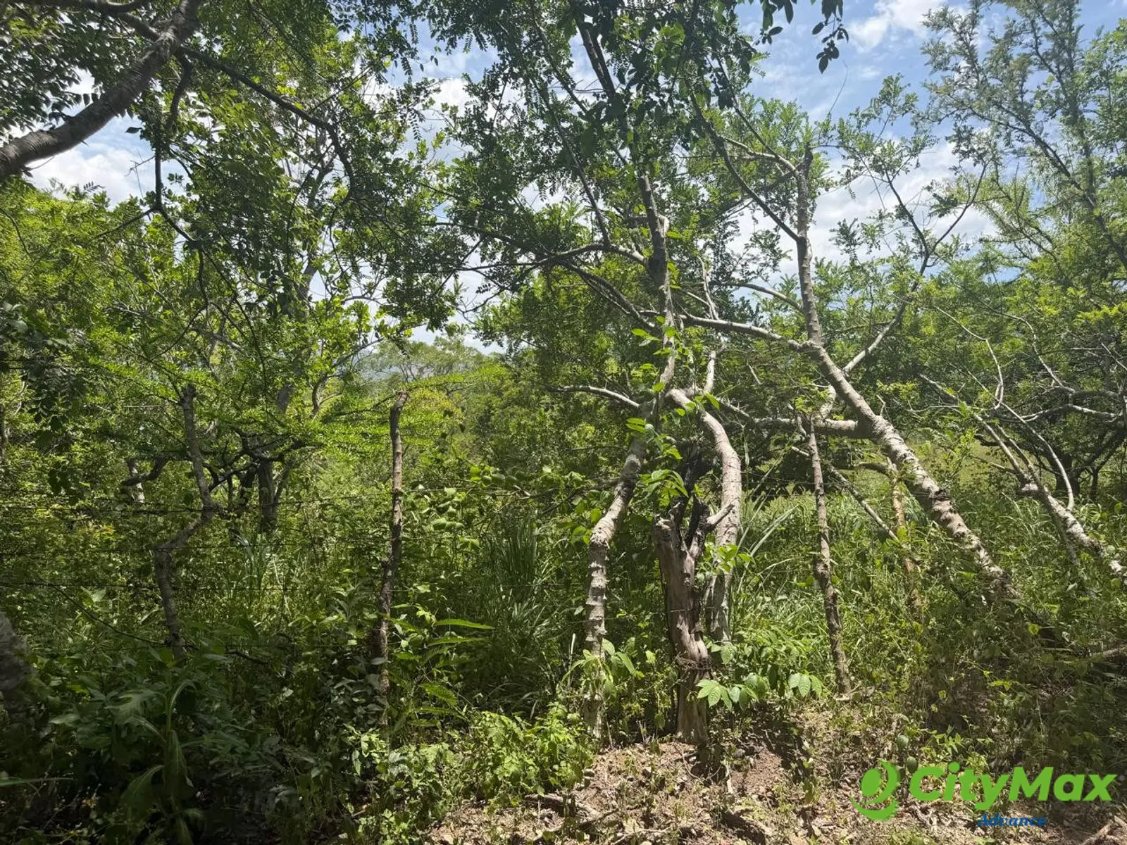 VENTA DE FINCA EN ORATORIO SANTA ROSA - foto 3
