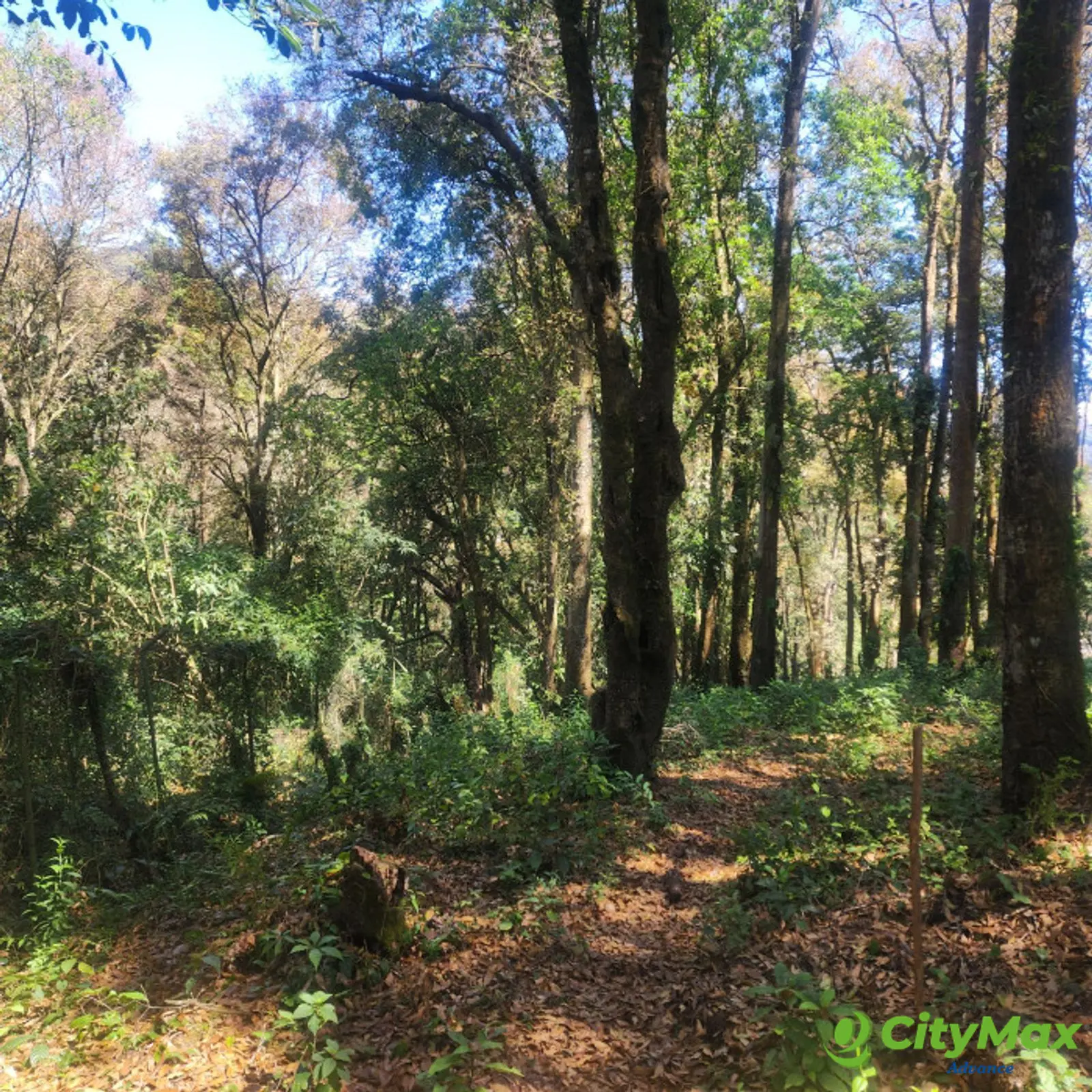 Vendo Terreno dentro de Residencial en Bosque Vivo - foto 3