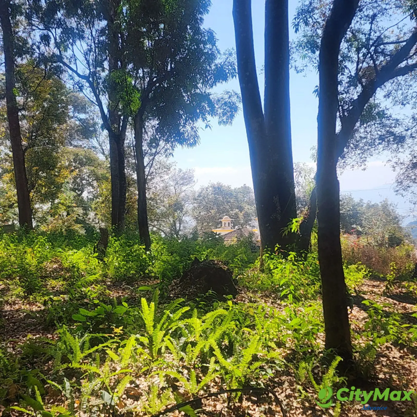 Vendo Terreno dentro de Residencial en Bosque Vivo - foto 2