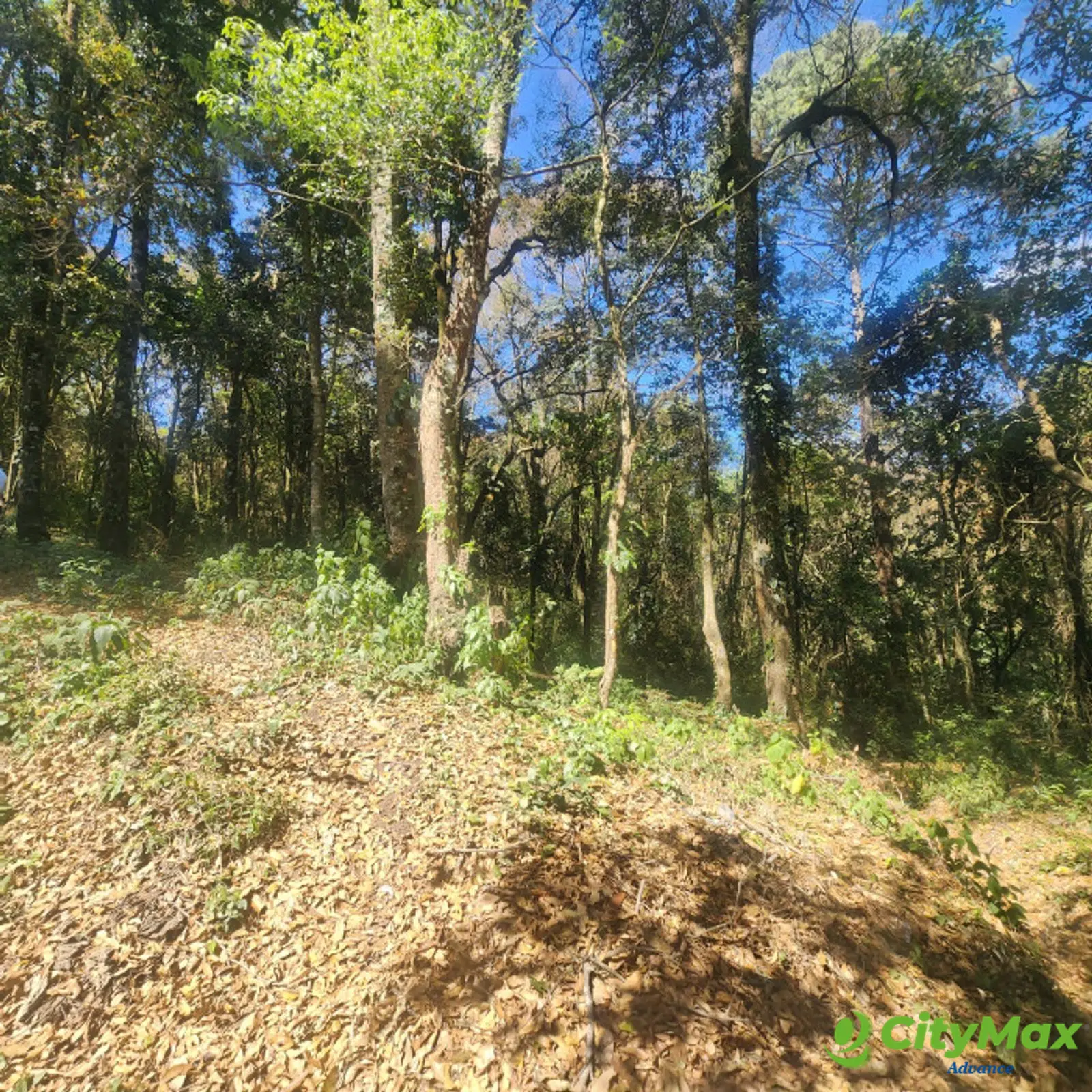 En Venta Terreno en Bosque Vivo  - foto 4