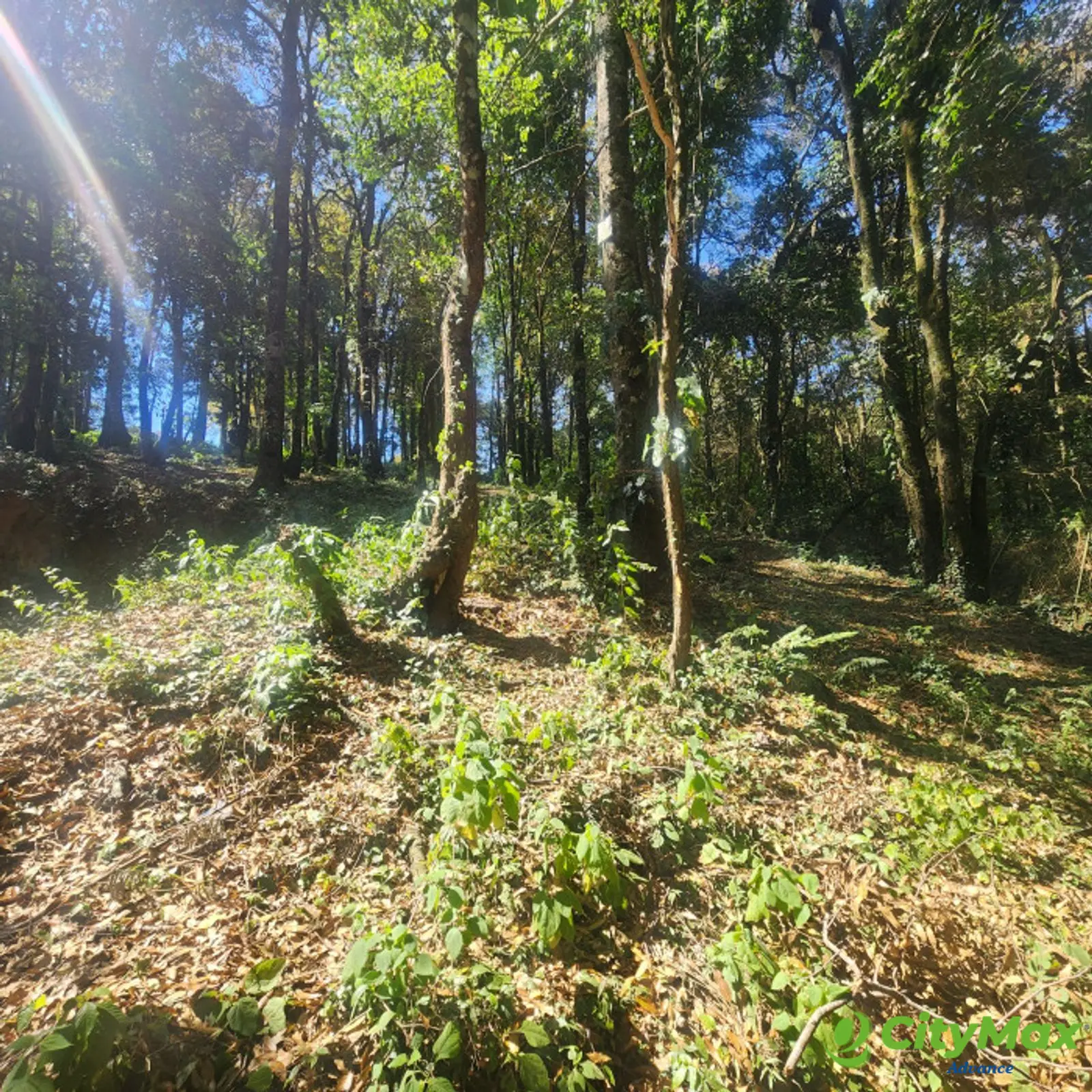 En Venta Terreno en Bosque Vivo  - foto 3