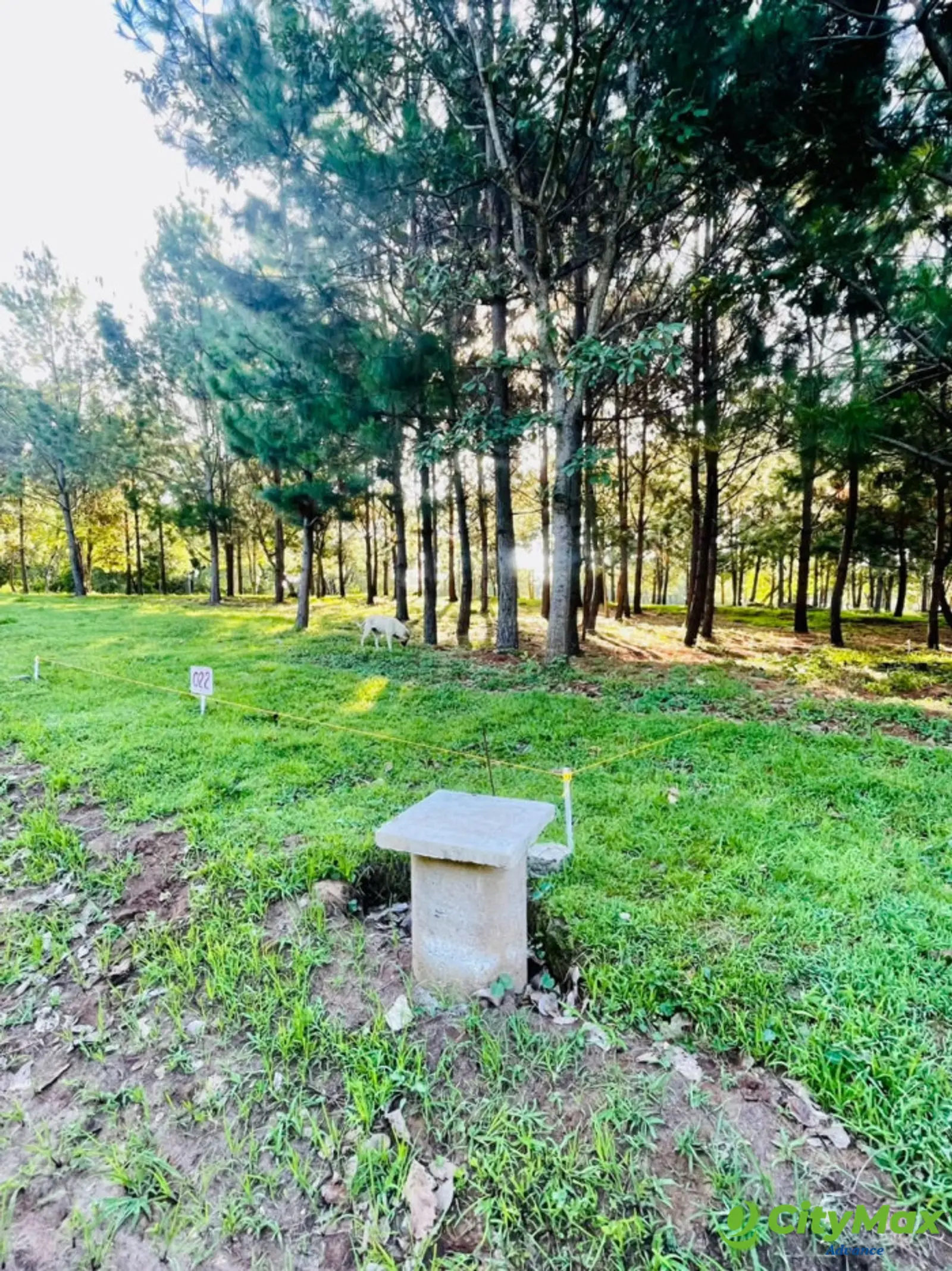 Vendo Terreno Residencial en San Pedro Sacatepéquez - foto 3