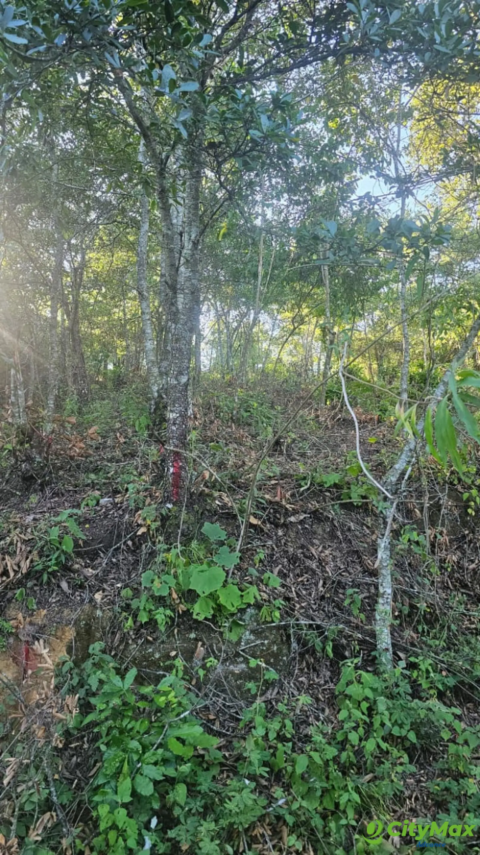 Terreno Residencial en Venta Granjas Pinares del Tejar - foto 4