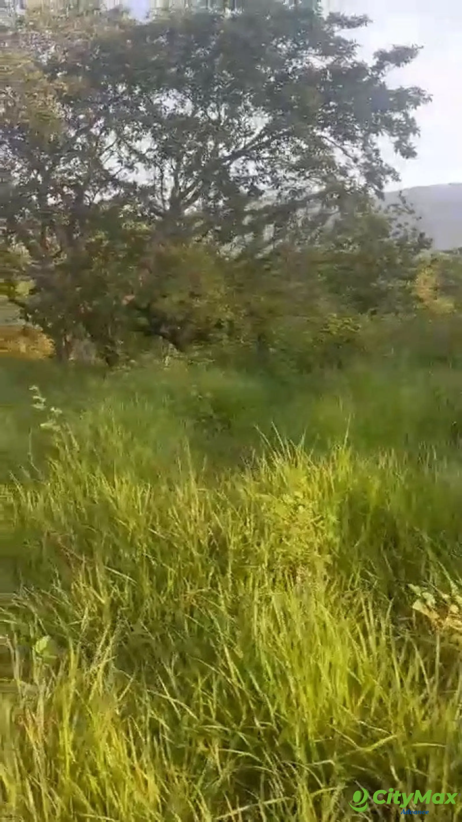 VENTA DE FINCA EN ORATORIO SANTA ROSA - foto 3