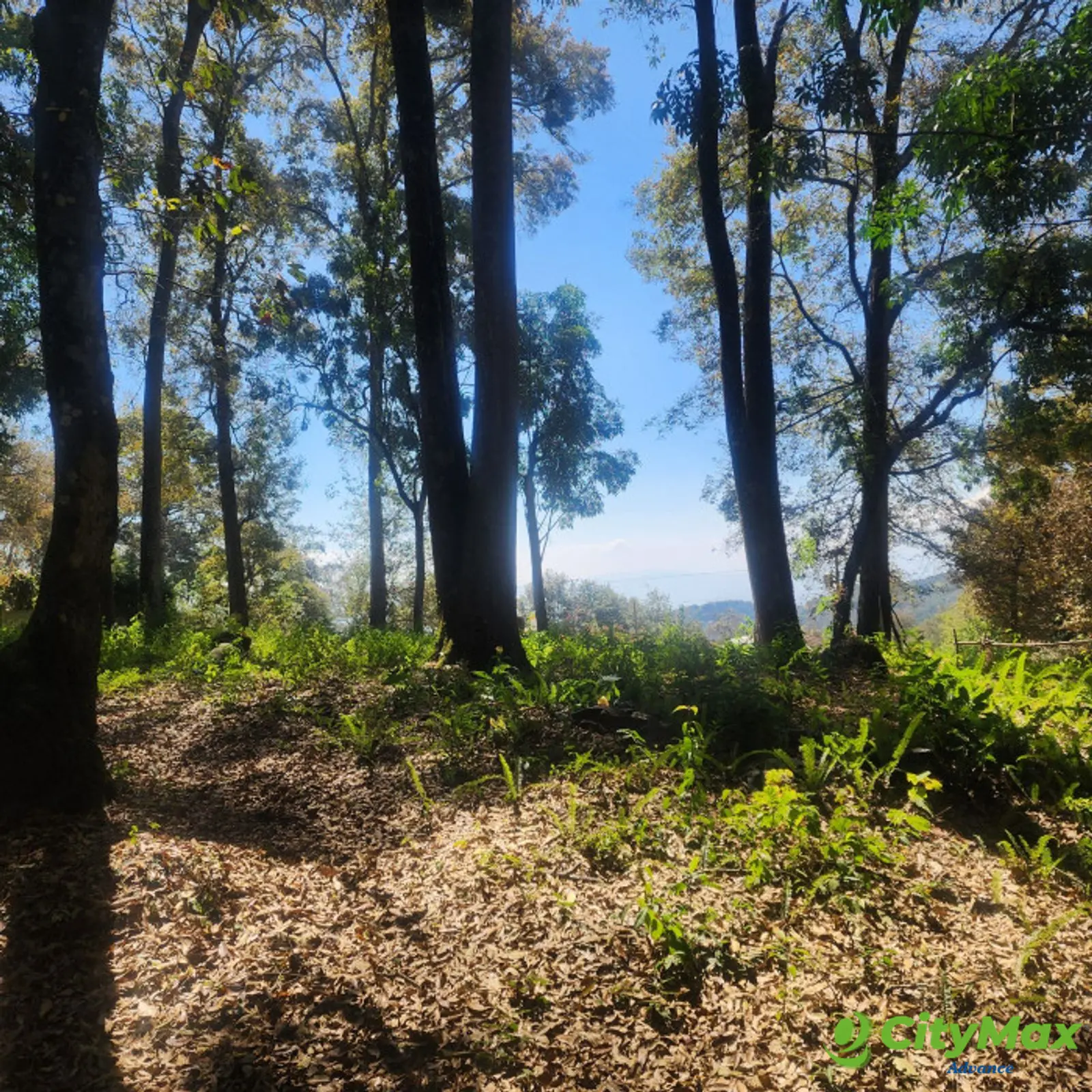 Terreno en Venta en Mixco, Bosque Vivo - foto 8