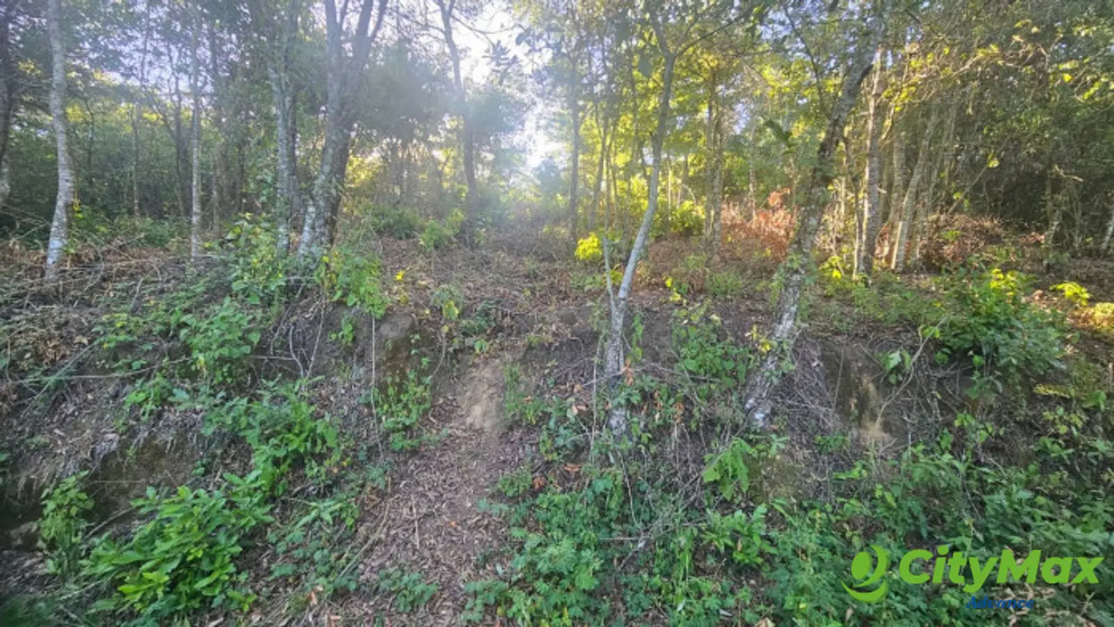 Terreno Residencial en Venta Granjas Pinares del Tejar - foto 12