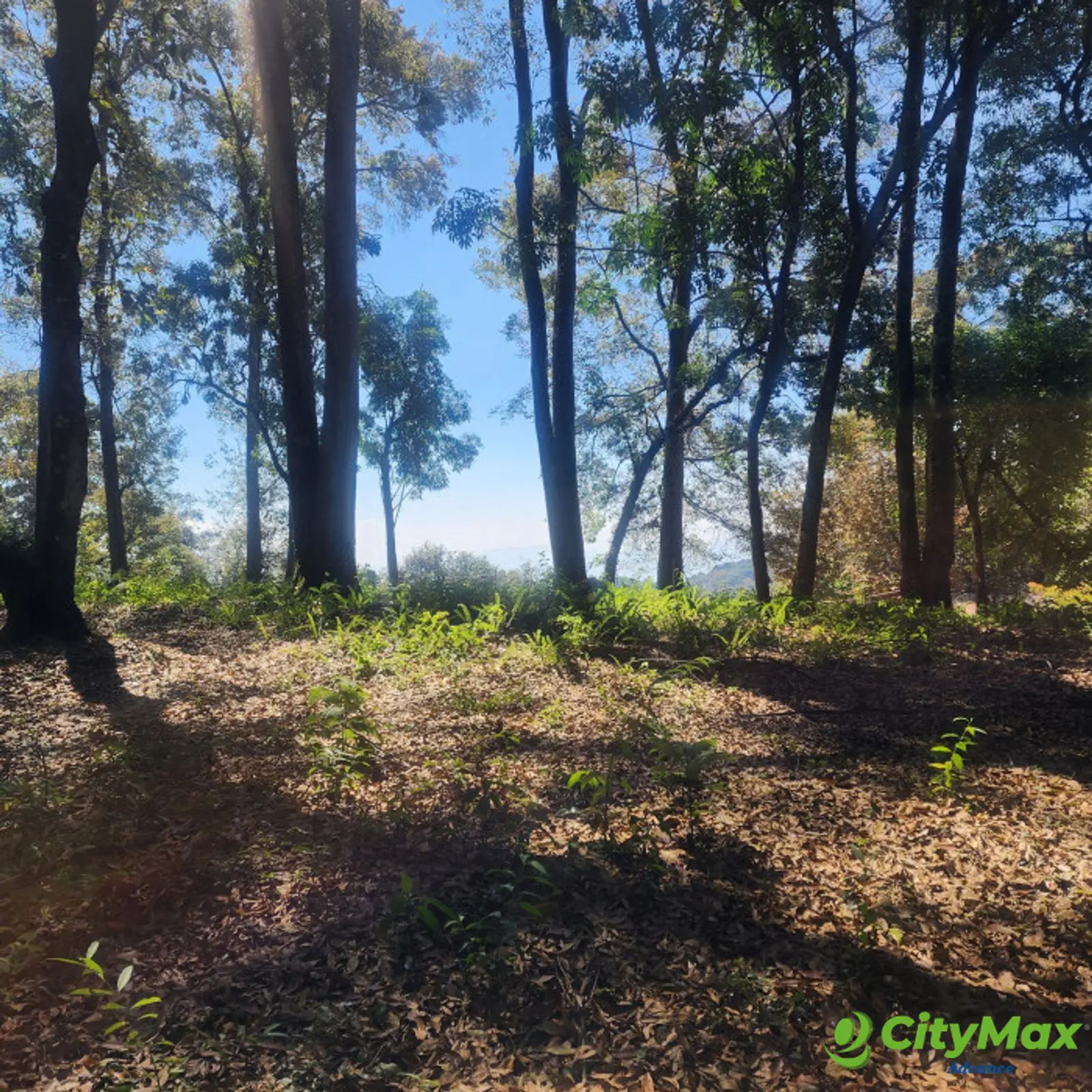 Terreno en Venta en Mixco, Bosque Vivo - foto 7