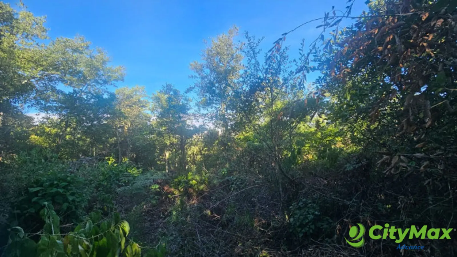 Terreno Residencial en Venta Granjas Pinares del Tejar - foto 5