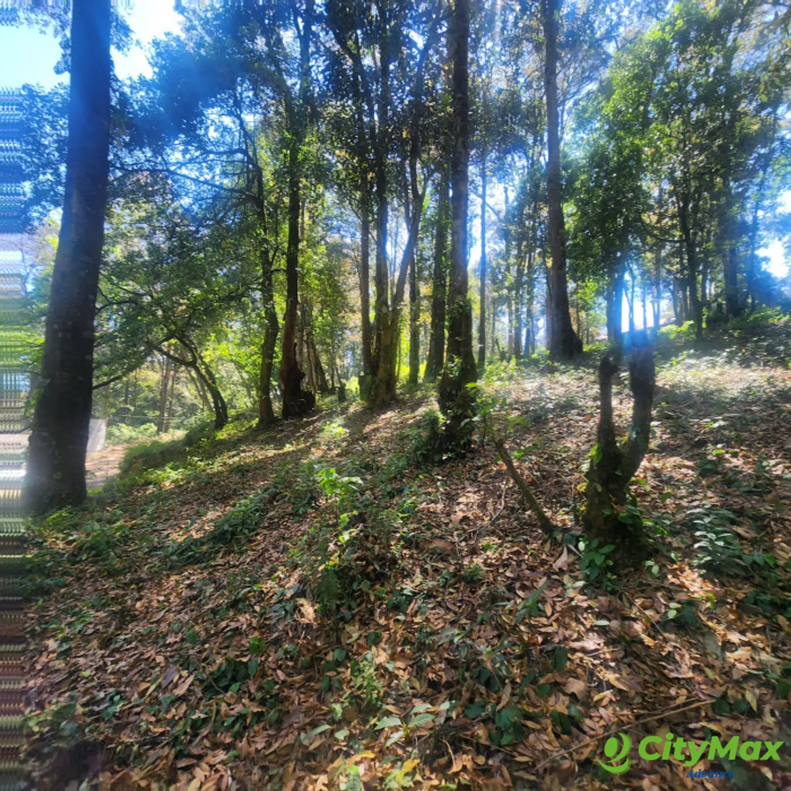Terreno en venta en San Lucas Sacatepéquez - foto 4