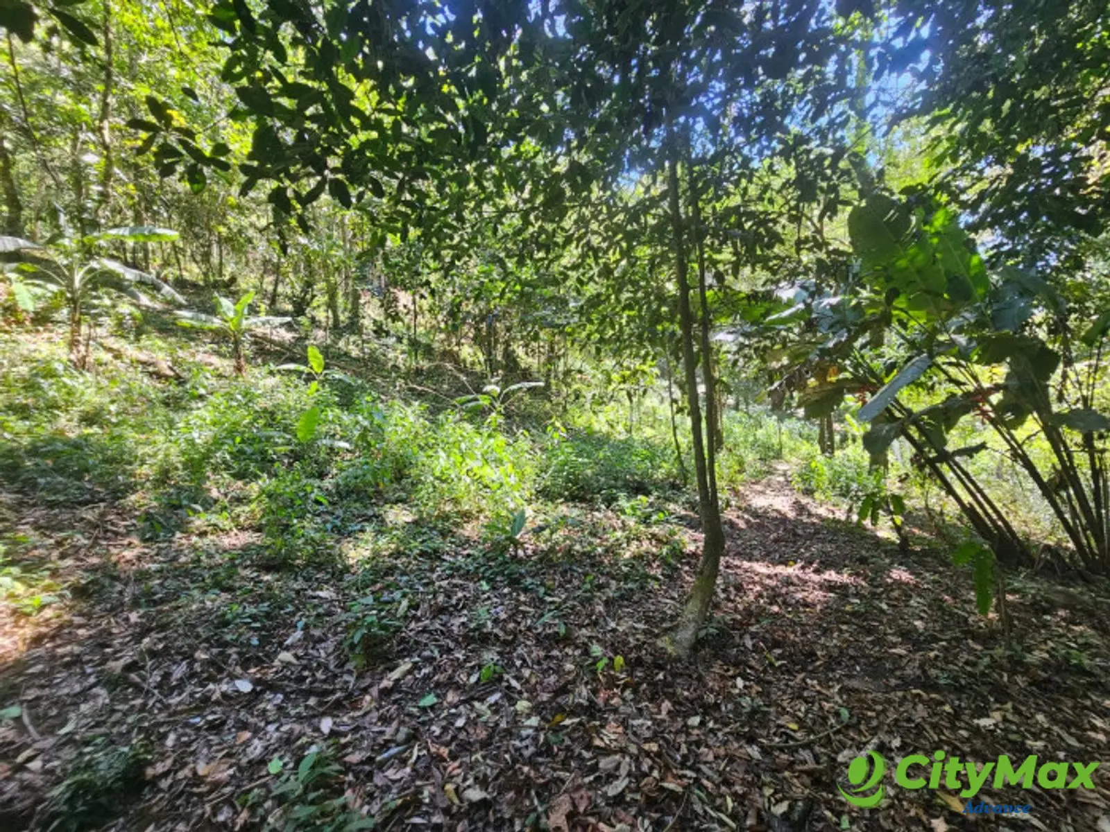Finca en venta en Fraijanes - foto 24