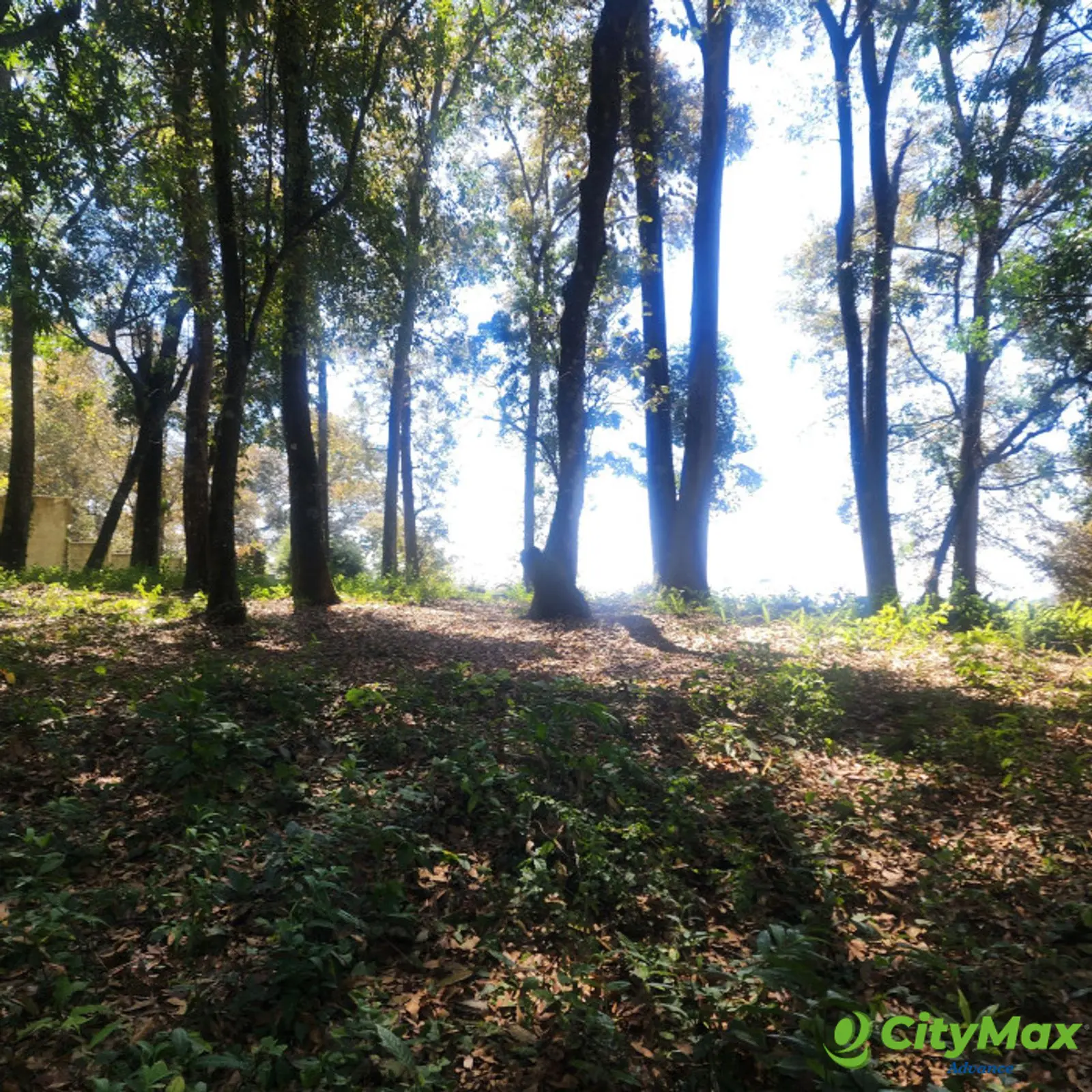 Terreno en Venta en Mixco, Bosque Vivo - foto 6